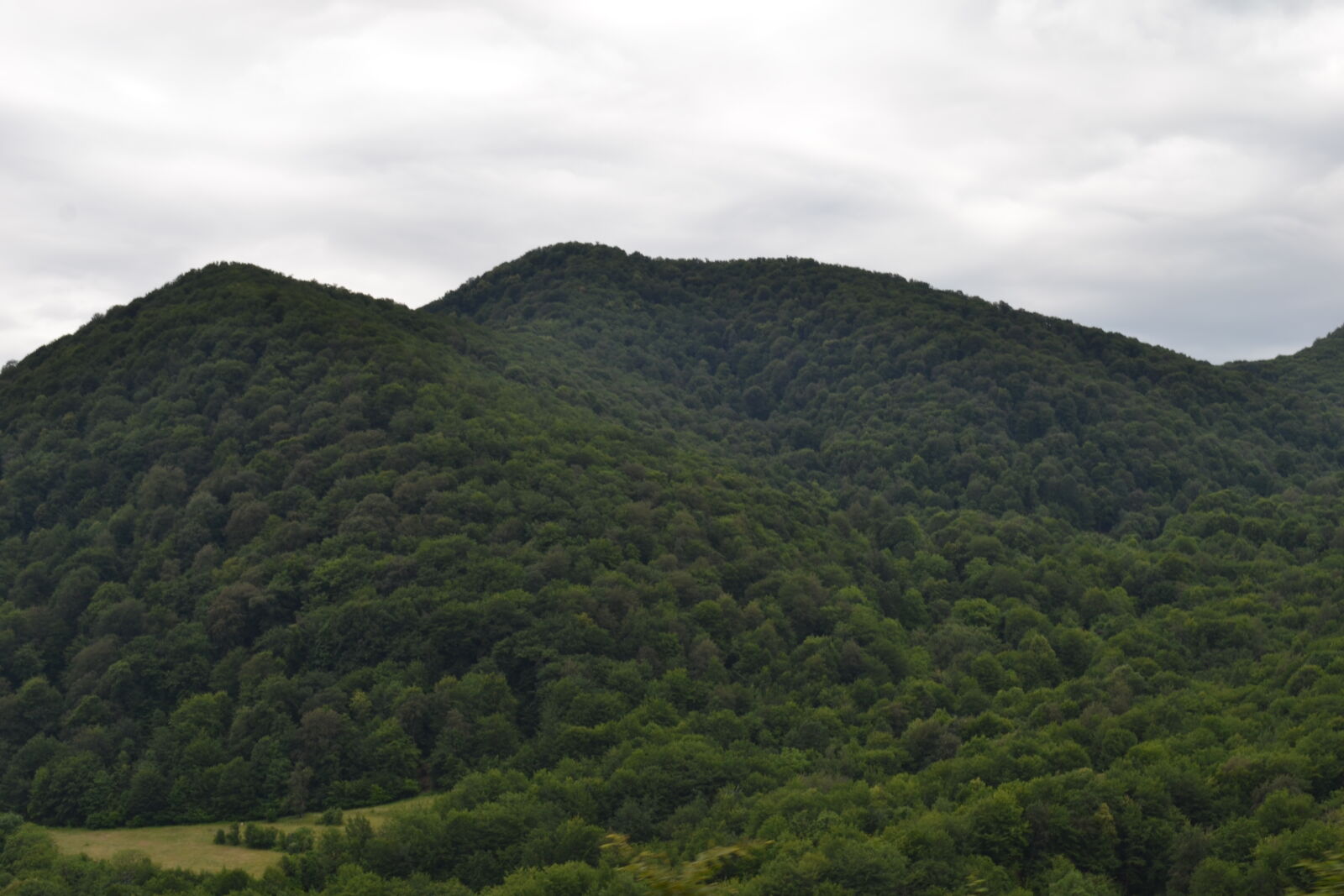 Nikon D3100 sample photo