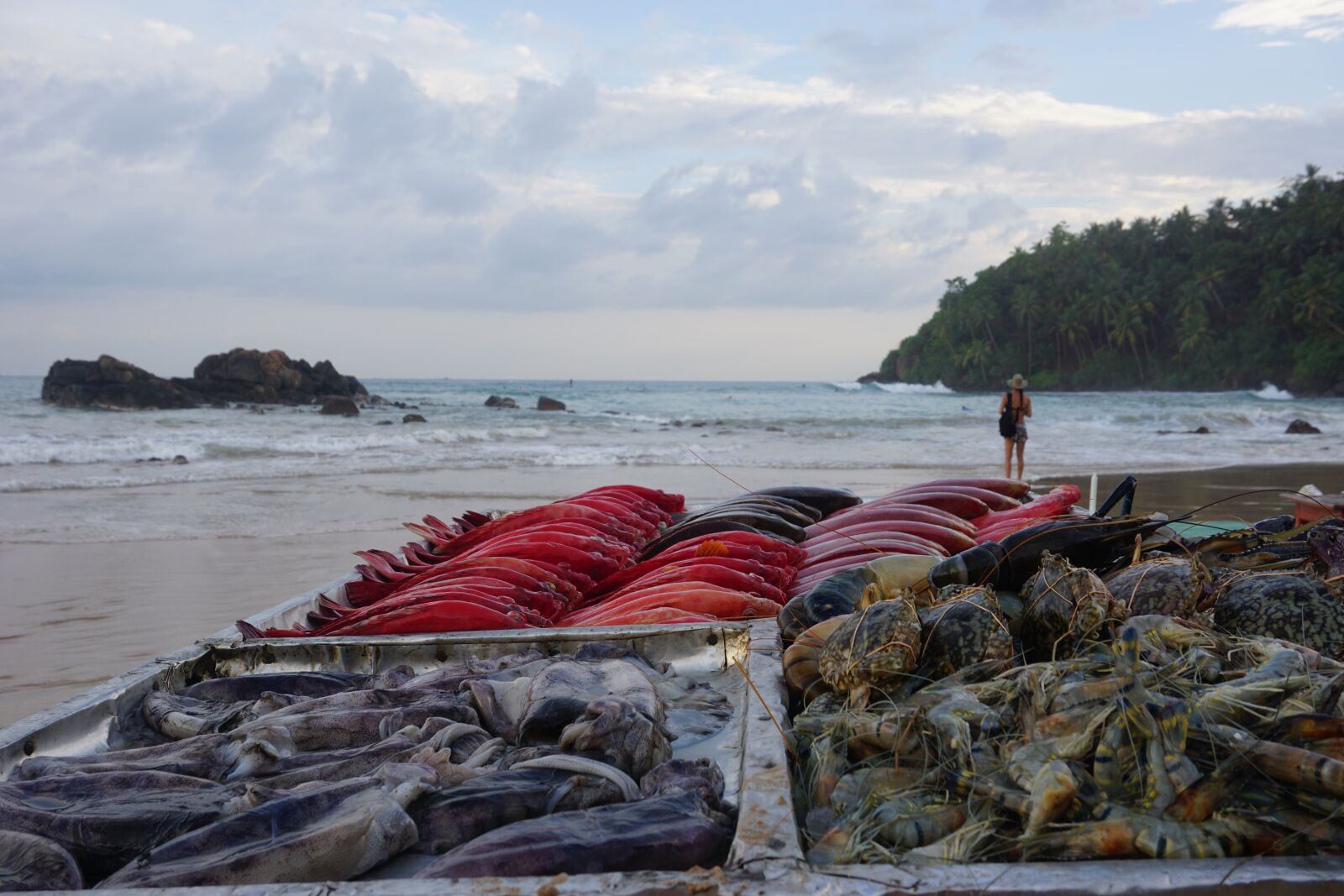 Sony a6000 sample photo. Beach, sea, food photography