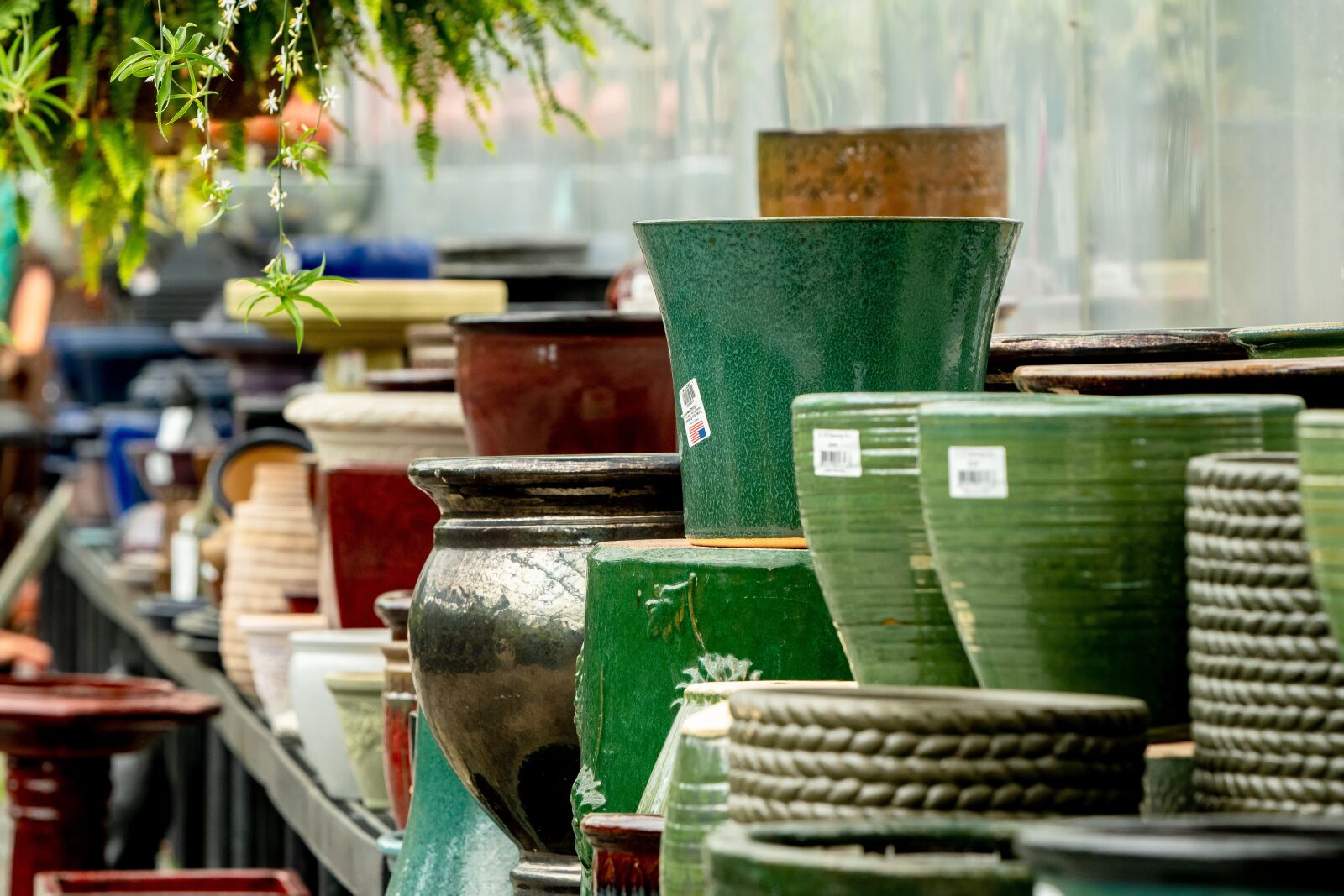 Nikon D500 sample photo. Pots, greenhouse, garden photography