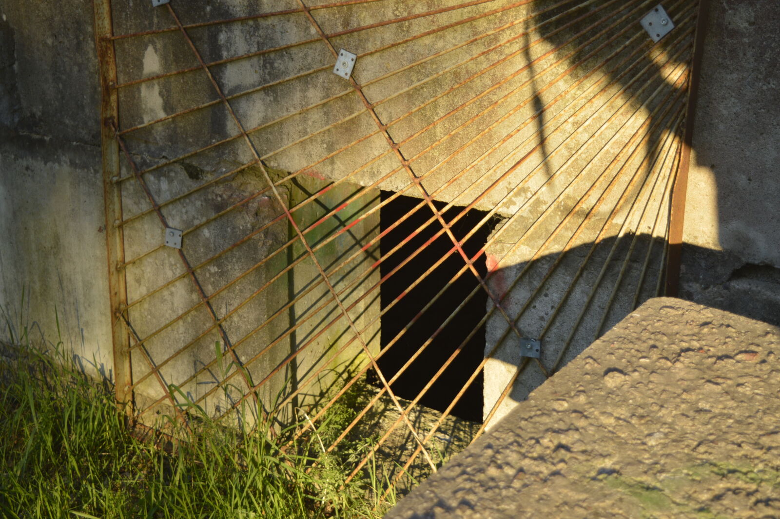 Nikon D3200 sample photo