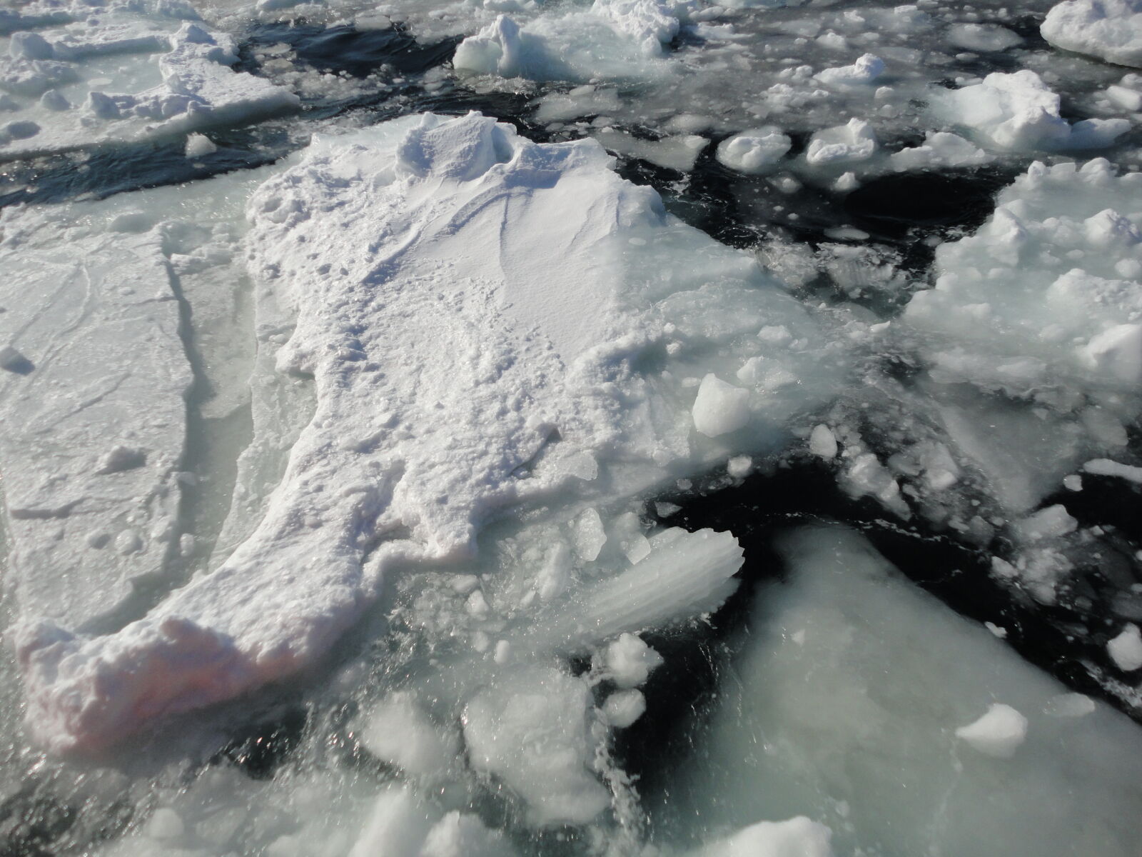 Sony Cyber-shot DSC-W350 sample photo. Cold, iceberg, ocean photography