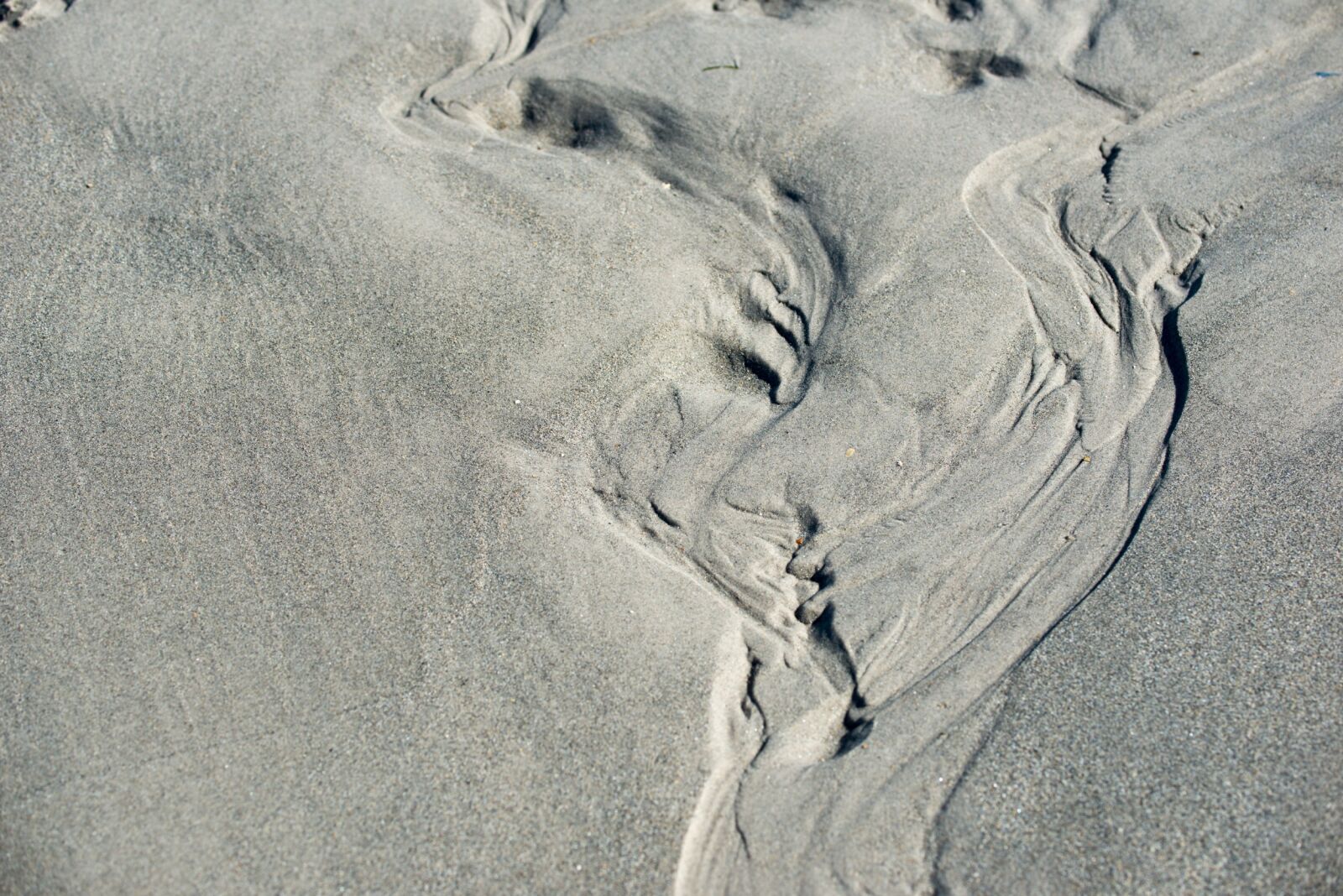 Nikon D800 sample photo. Beach, tracks in the photography