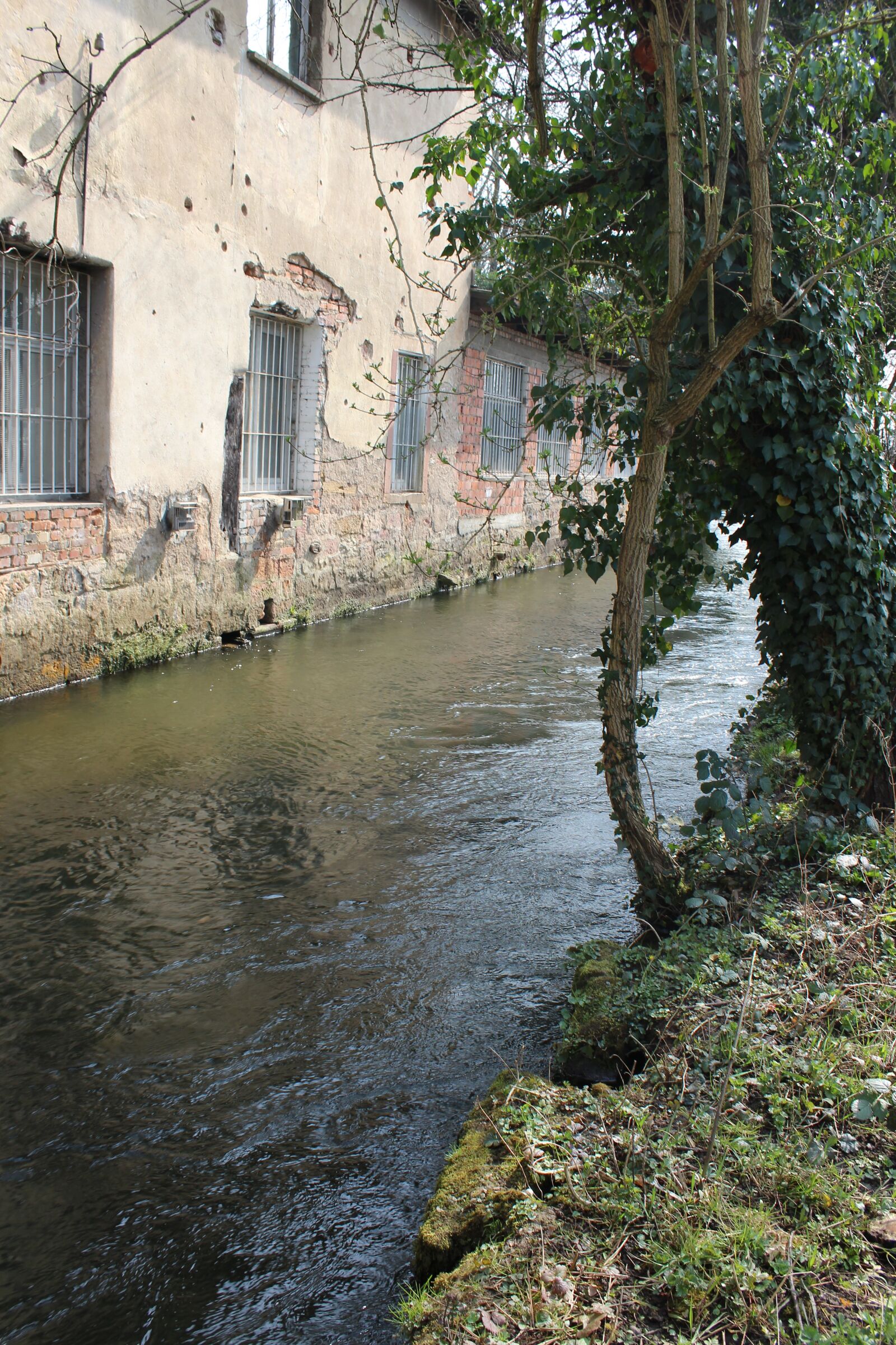 Canon EOS 1200D (EOS Rebel T5 / EOS Kiss X70 / EOS Hi) sample photo. House, bach, river photography