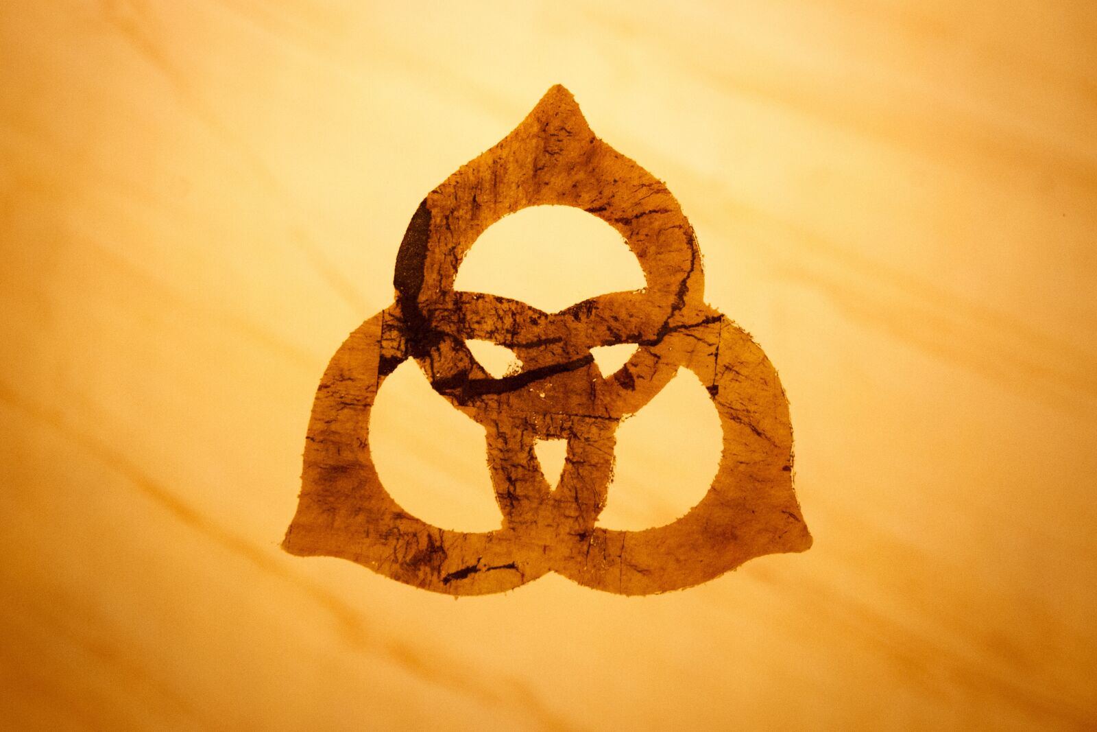 Canon EOS 7D sample photo. Logo, three, folded photography