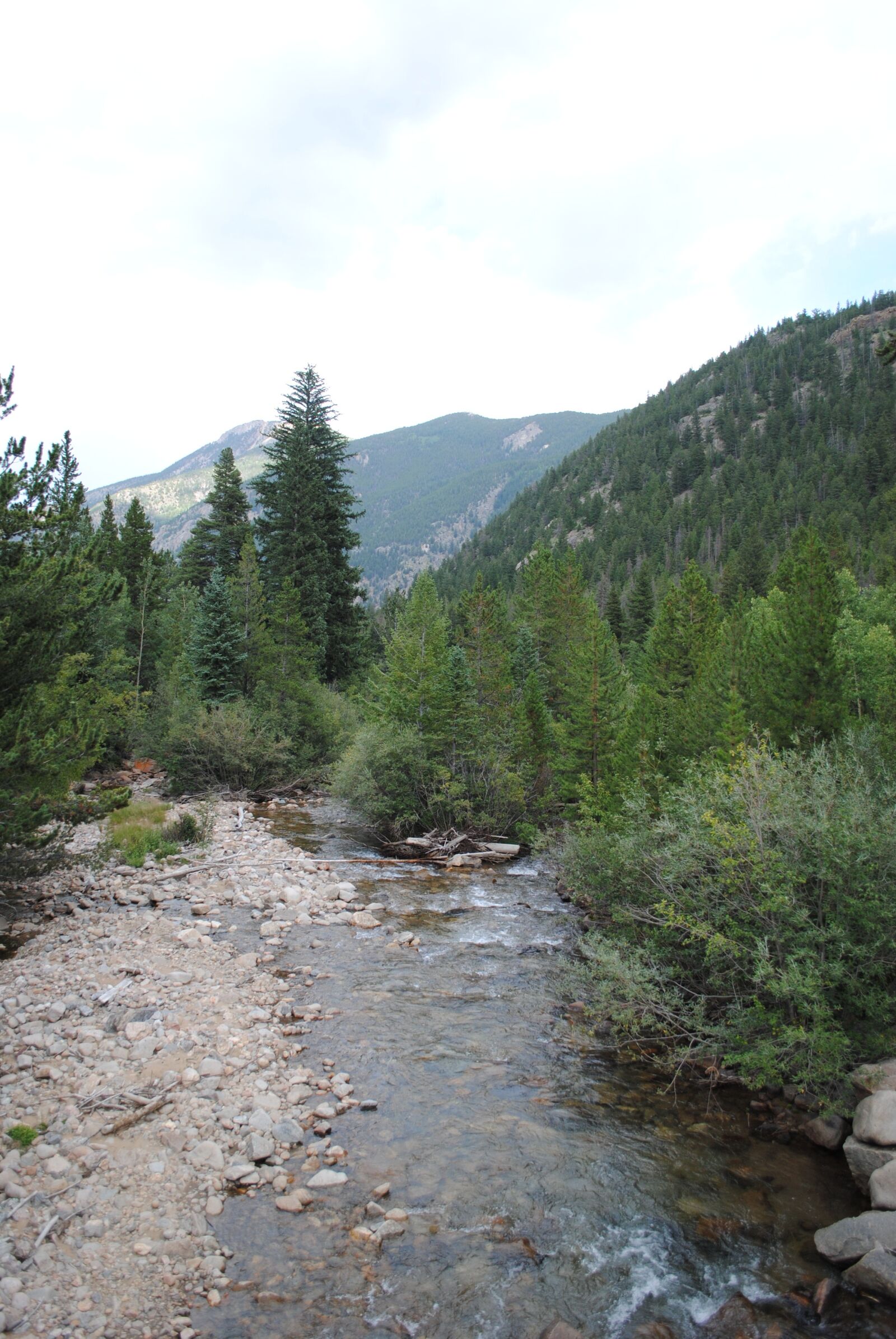 Nikon D3000 sample photo. Clear creek, rocky bank photography