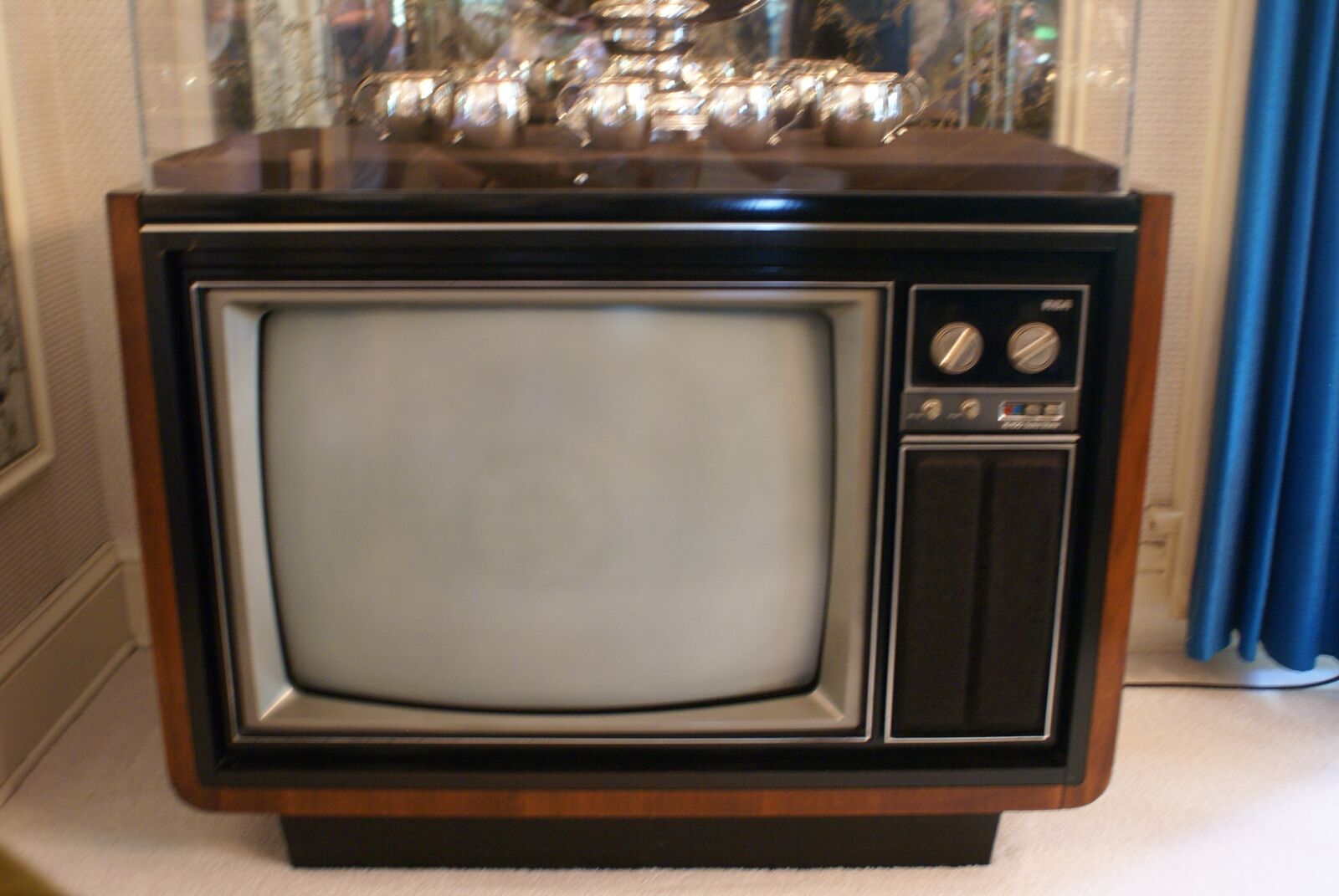 Sony Alpha DSLR-A100 sample photo. Tv elvis, the home photography