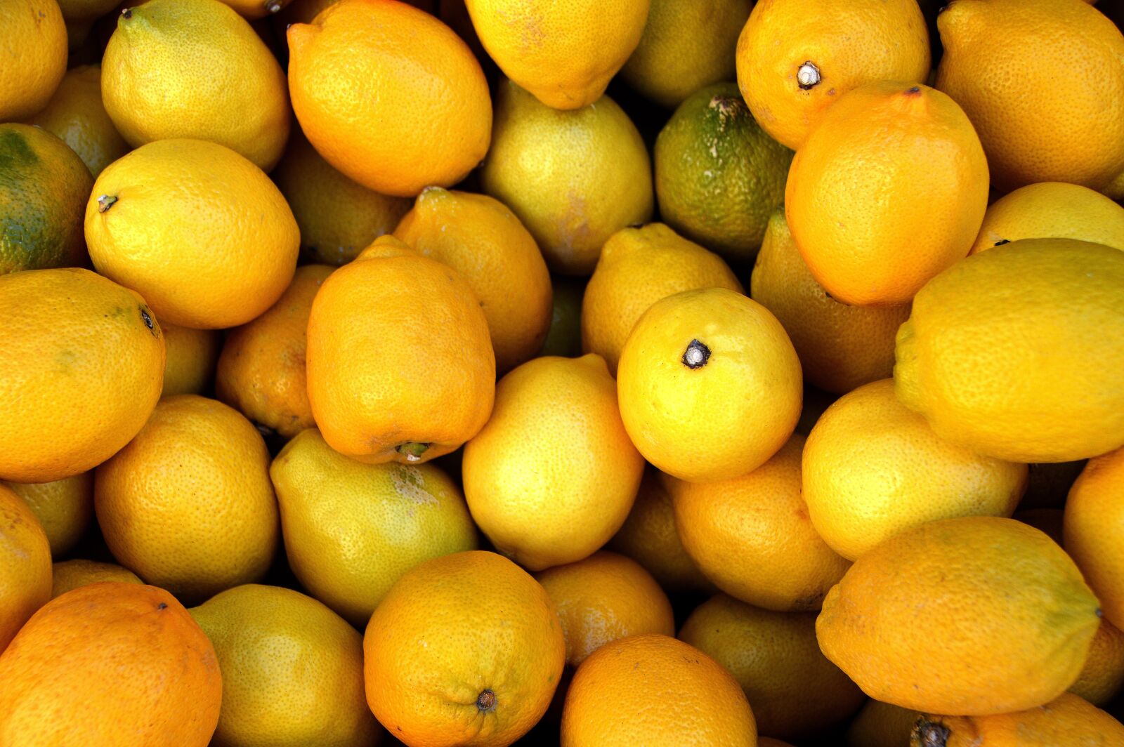 Nikon D3200 sample photo. Lemon, sour, left untreated photography