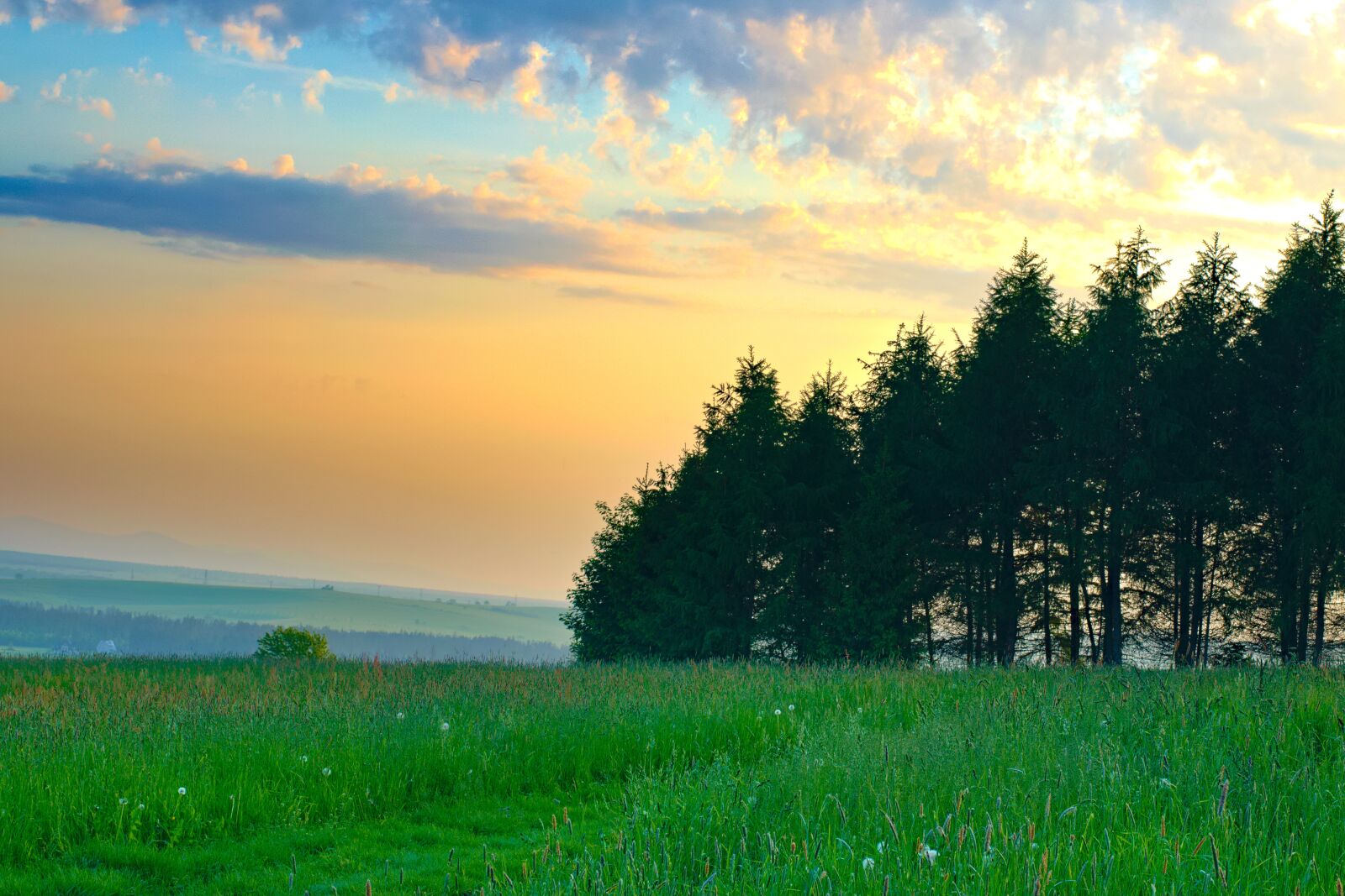 Nikon D5300 sample photo. Landscape, sunset, meadow photography