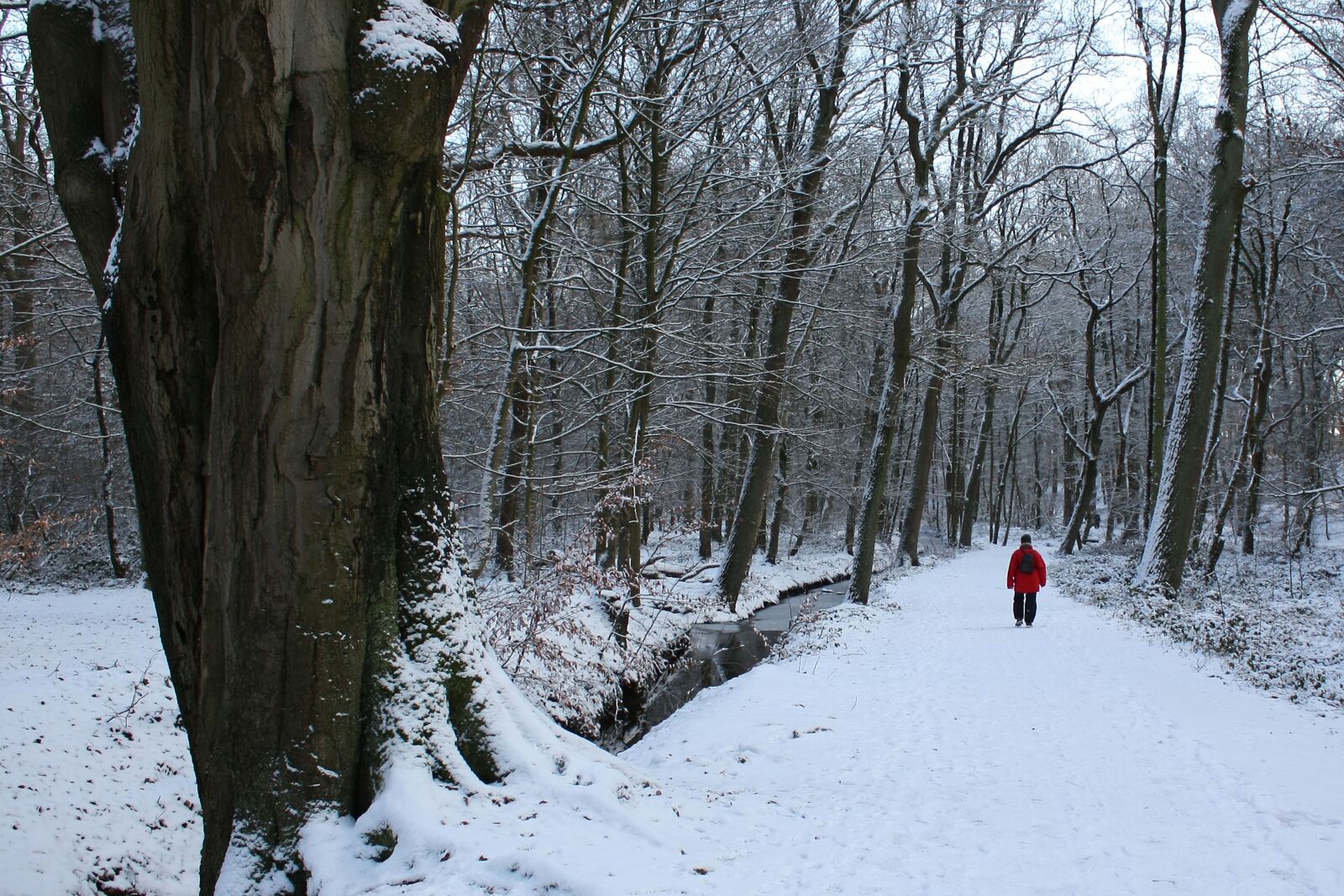 Canon EOS 450D (EOS Rebel XSi / EOS Kiss X2) sample photo. Winter, walkers, snow photography