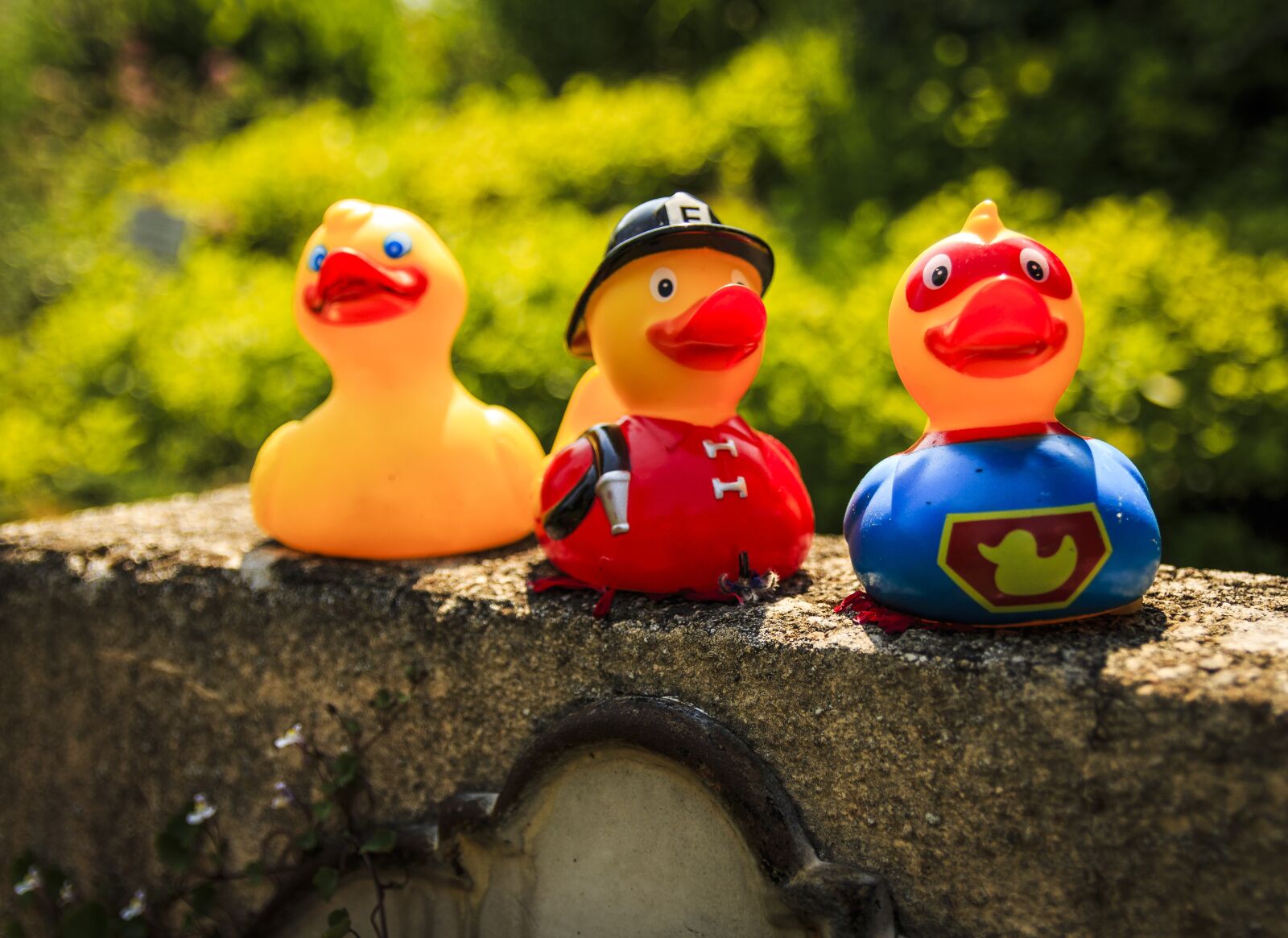 Canon EOS 650D (EOS Rebel T4i / EOS Kiss X6i) sample photo. Ducks, bath ducks, fire photography