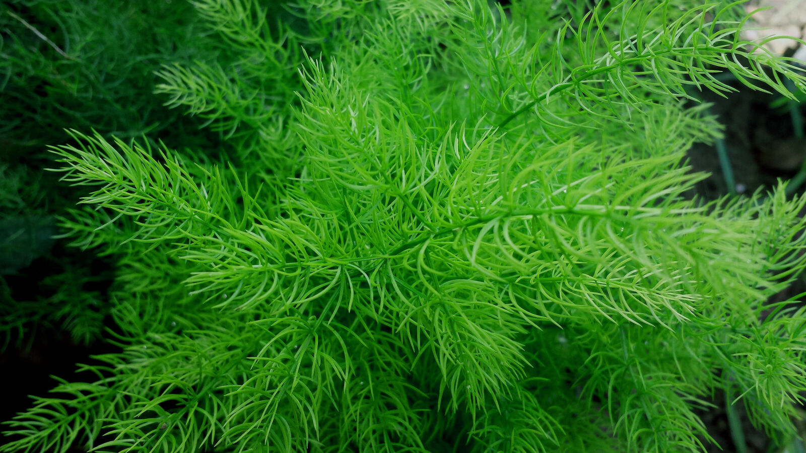 Samsung Galaxy S4 sample photo