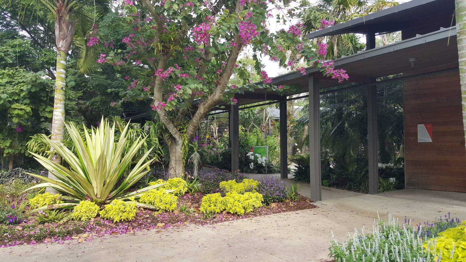 Samsung GALAXY S6 edge sample photo. Botanical, gardens photography