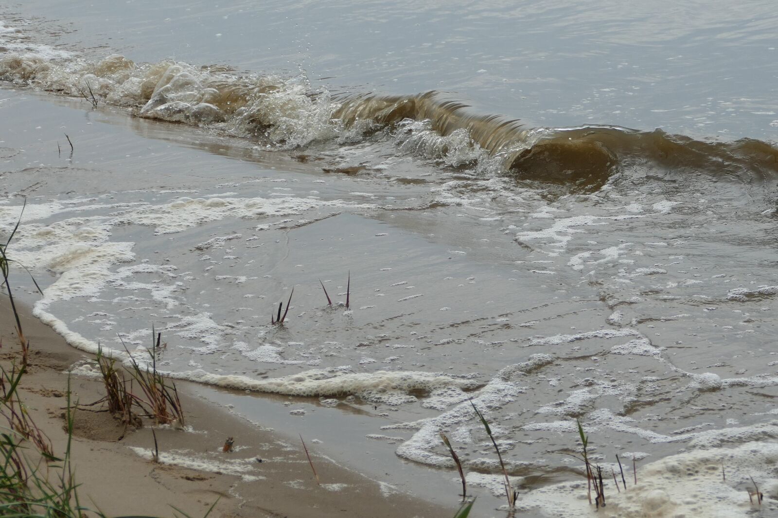 Panasonic Lumix DMC-FZ1000 sample photo. Beach, water, wave photography