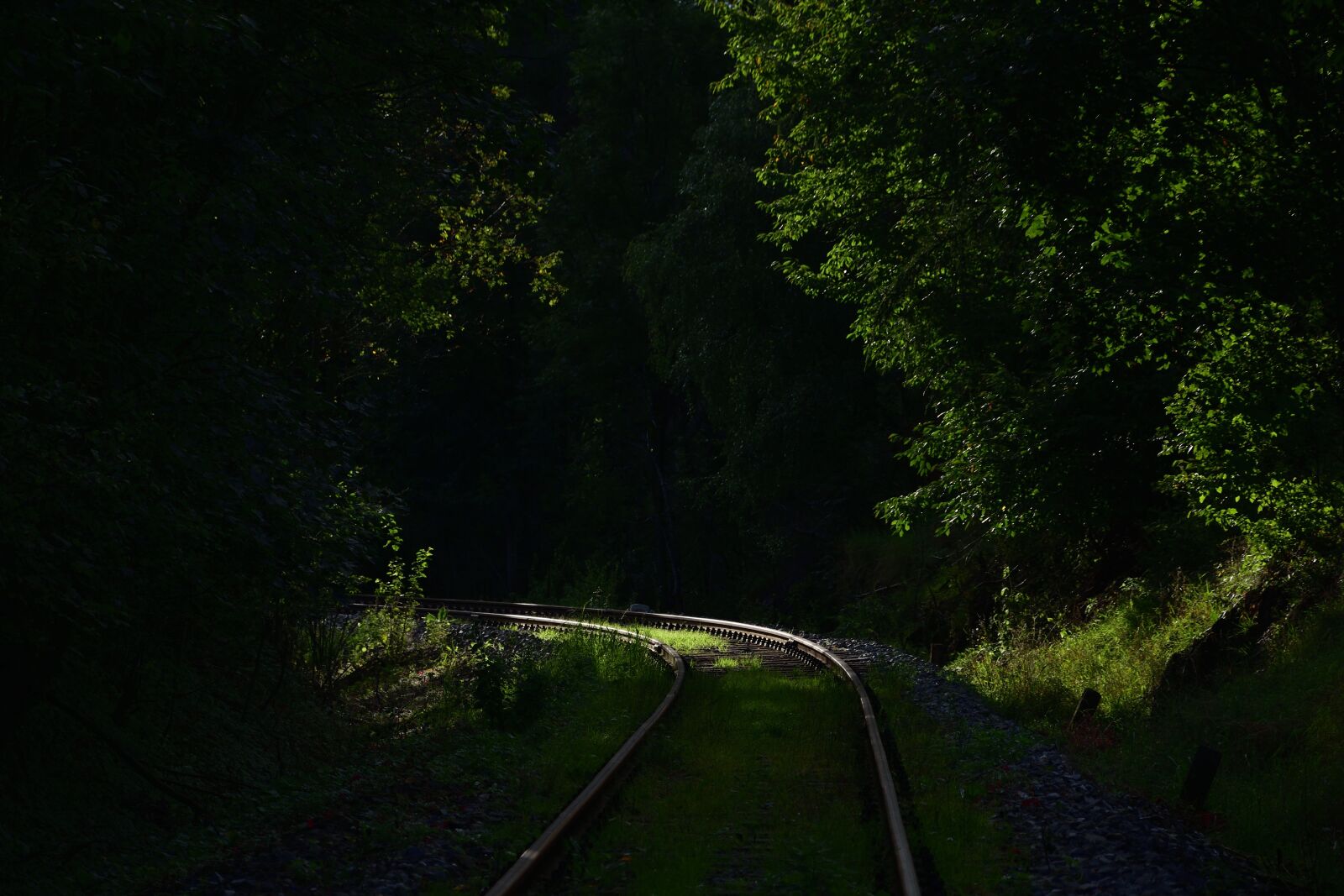 Nikon D3400 sample photo. Track, nature, railway photography