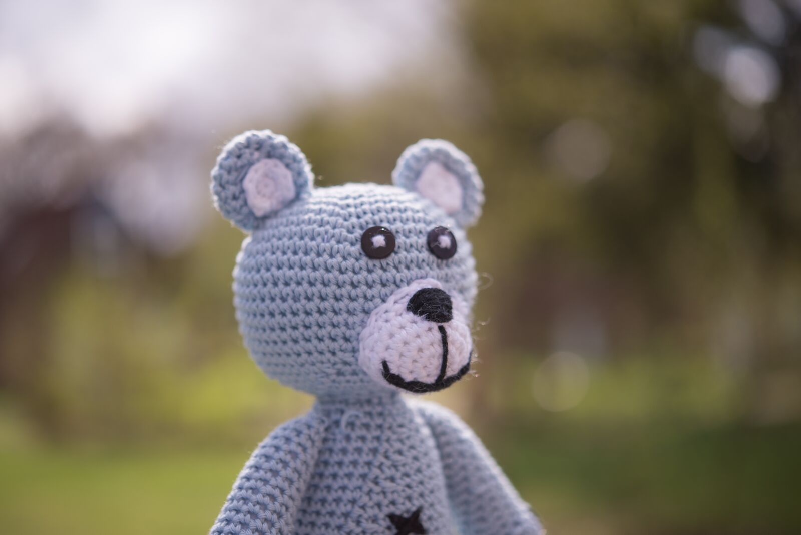 Nikon D600 sample photo. Stuffed, bear, animal photography