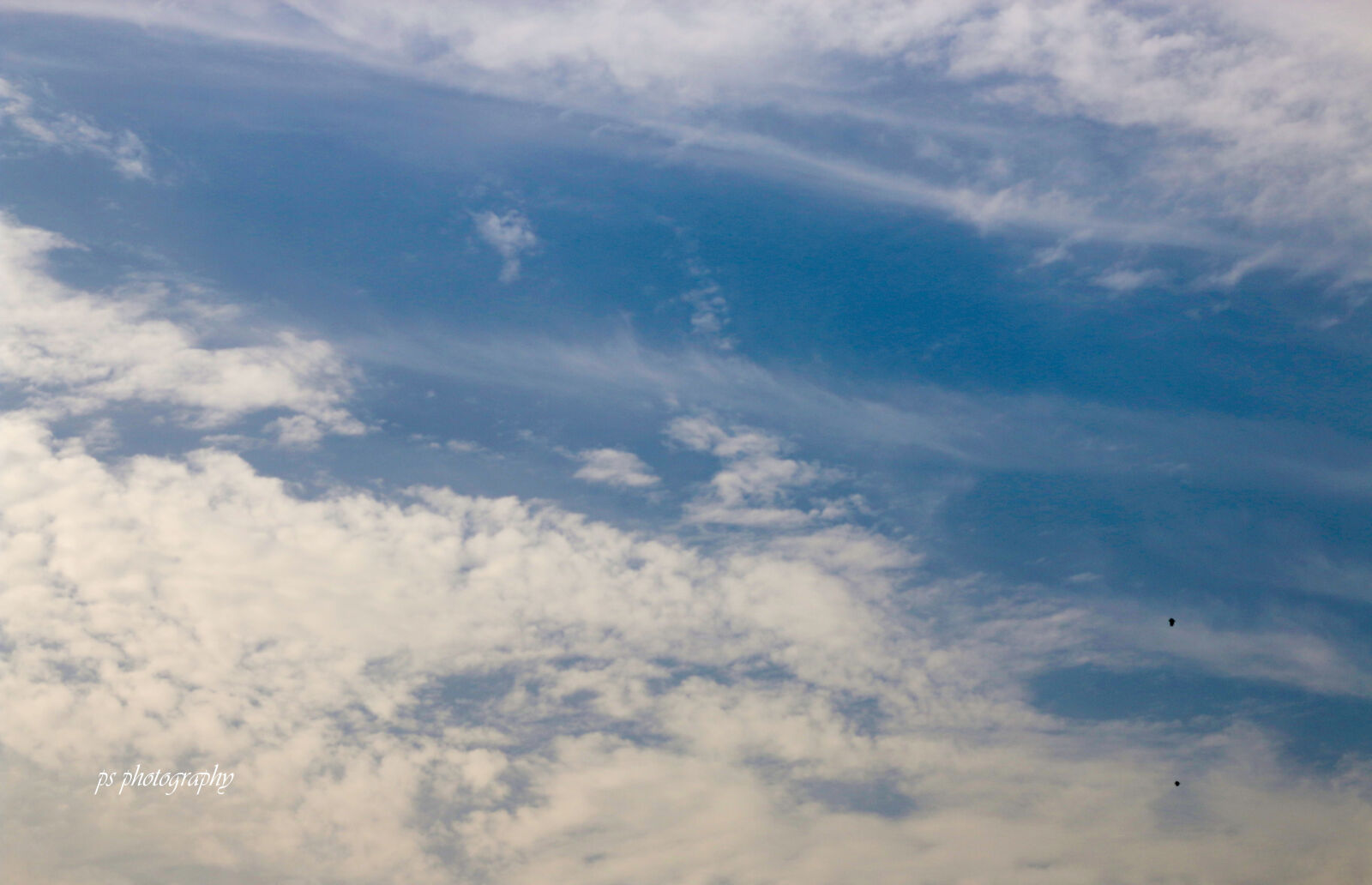 Canon EOS 70D + Canon EF 50mm F1.8 STM sample photo