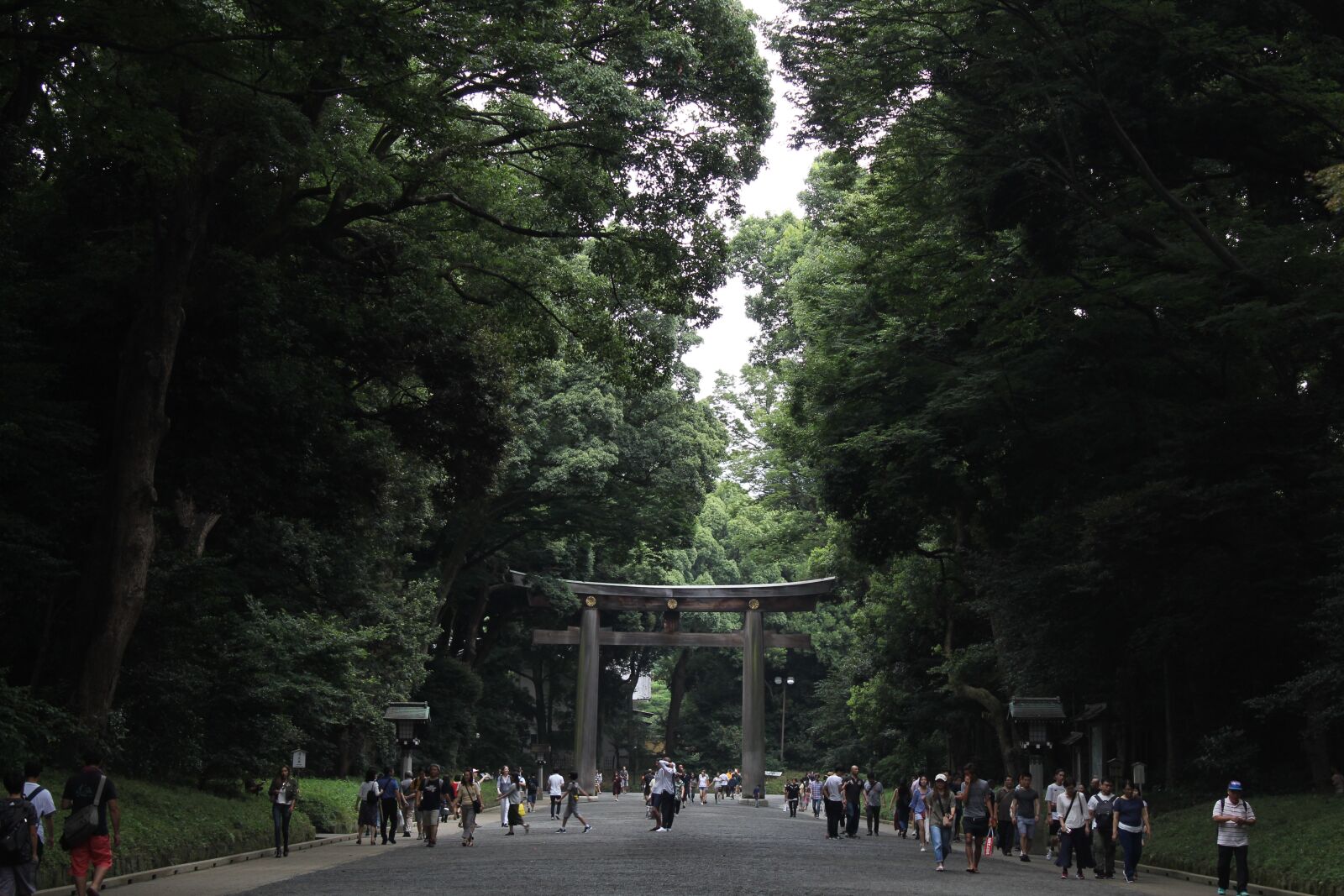 Canon EOS 1300D (EOS Rebel T6 / EOS Kiss X80) sample photo. Yoyogi park, park, japan photography