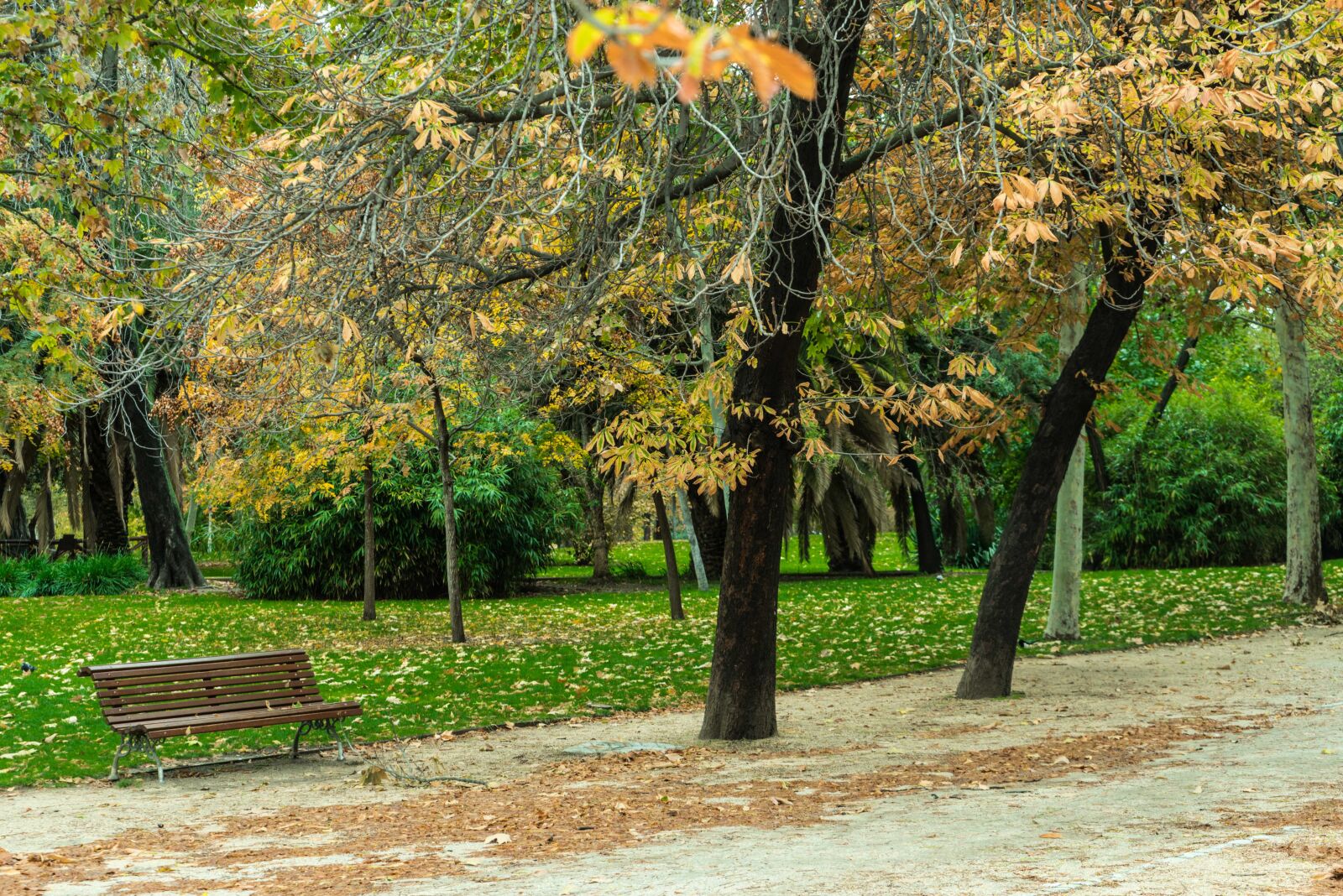 Sony a7R + Sony FE 28-70mm F3.5-5.6 OSS sample photo. Autumn, green, garden photography