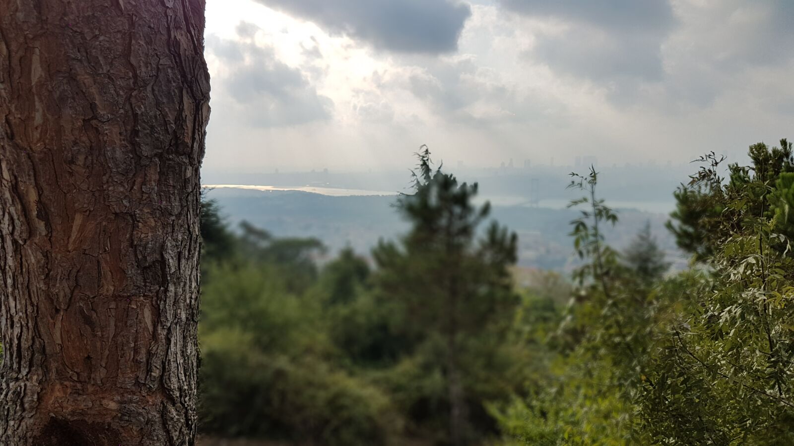 Samsung Galaxy S7 Edge sample photo