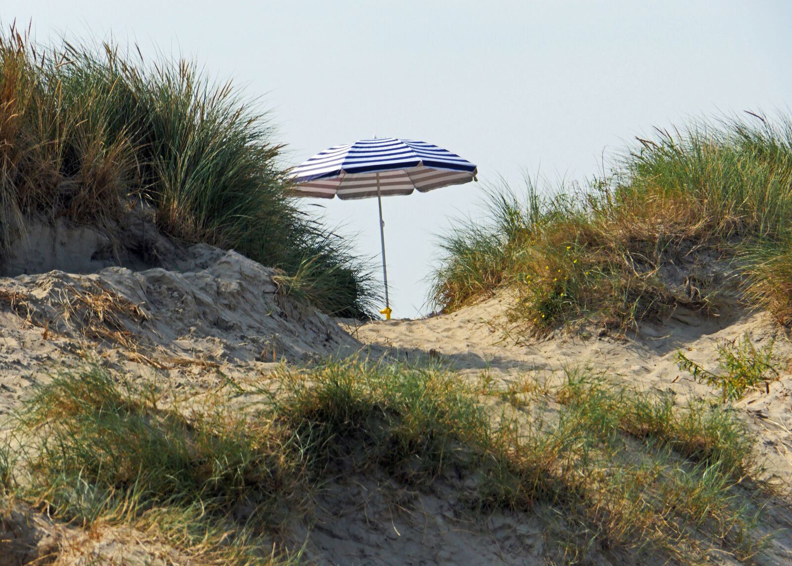 Panasonic Lumix DMC-GX8 sample photo. In the dunes, parasol photography