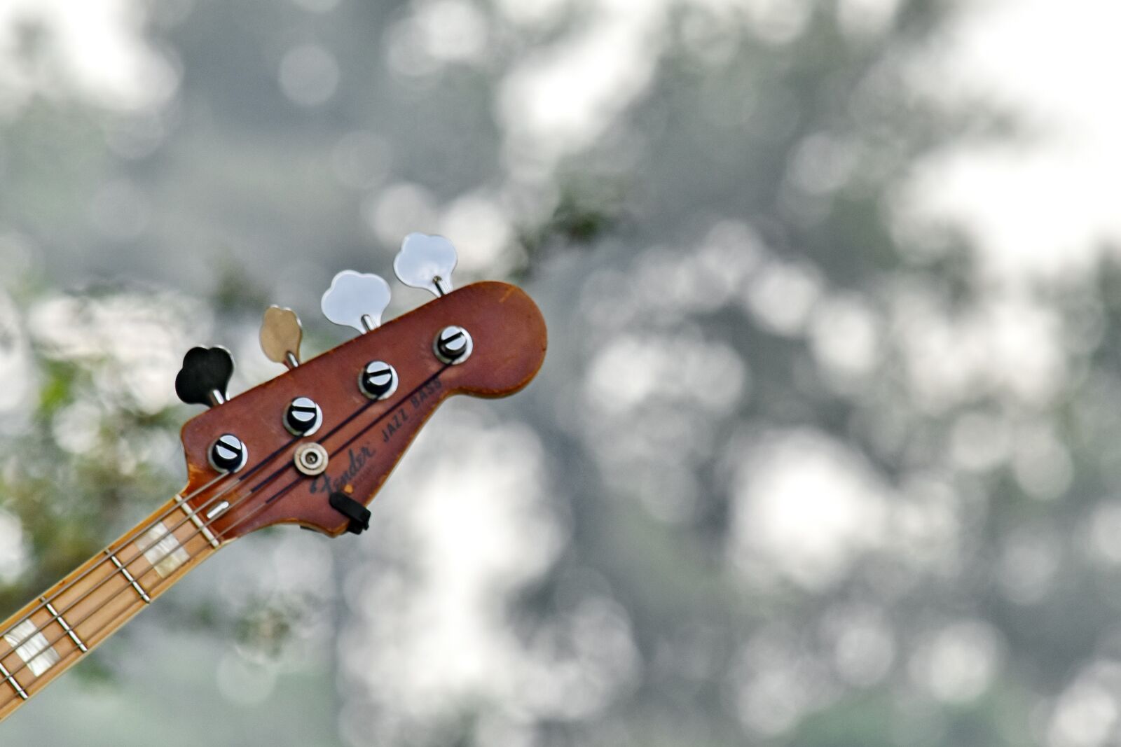 Nikon D5500 sample photo. Acoustic, guitar, music, nature photography