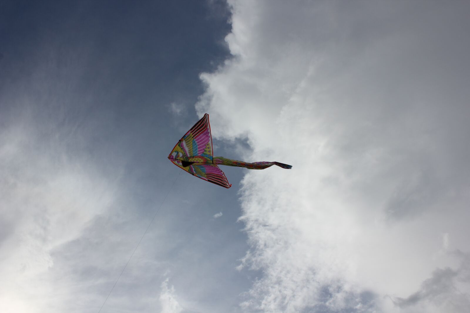 Canon EOS 550D (EOS Rebel T2i / EOS Kiss X4) sample photo. Kite, sky, clouds photography