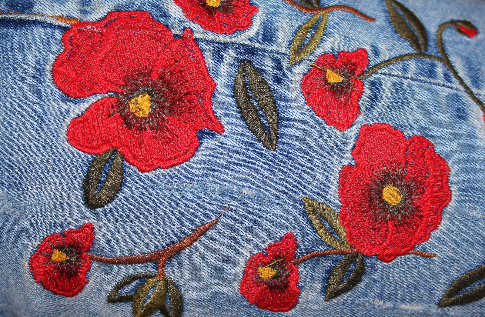 Canon EOS 1200D (EOS Rebel T5 / EOS Kiss X70 / EOS Hi) sample photo. Jeans, embroidery, ornament photography