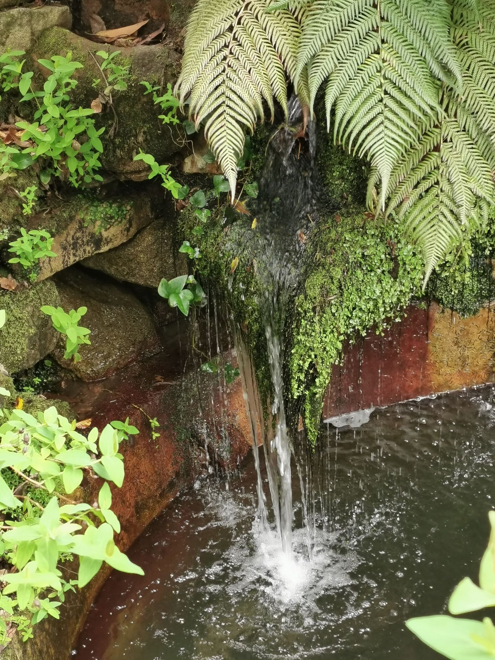 HUAWEI P30 Pro sample photo. Palace, pena, sintra photography