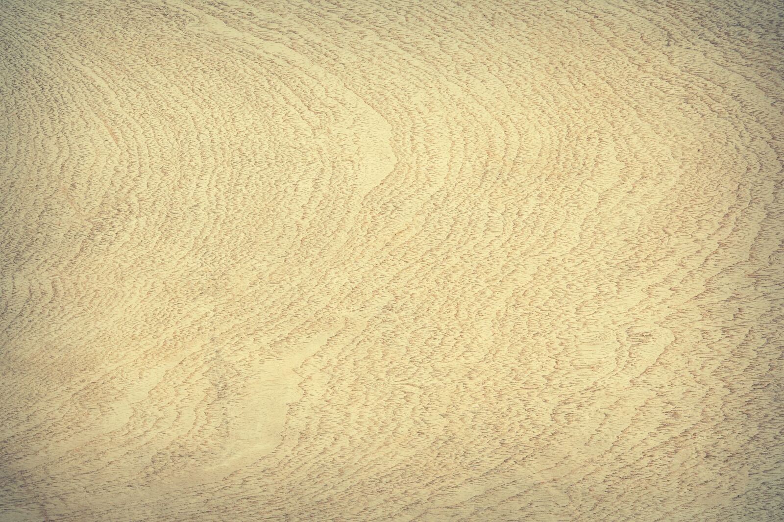 Nikon D700 sample photo. Abstract, antique, backdrop photography