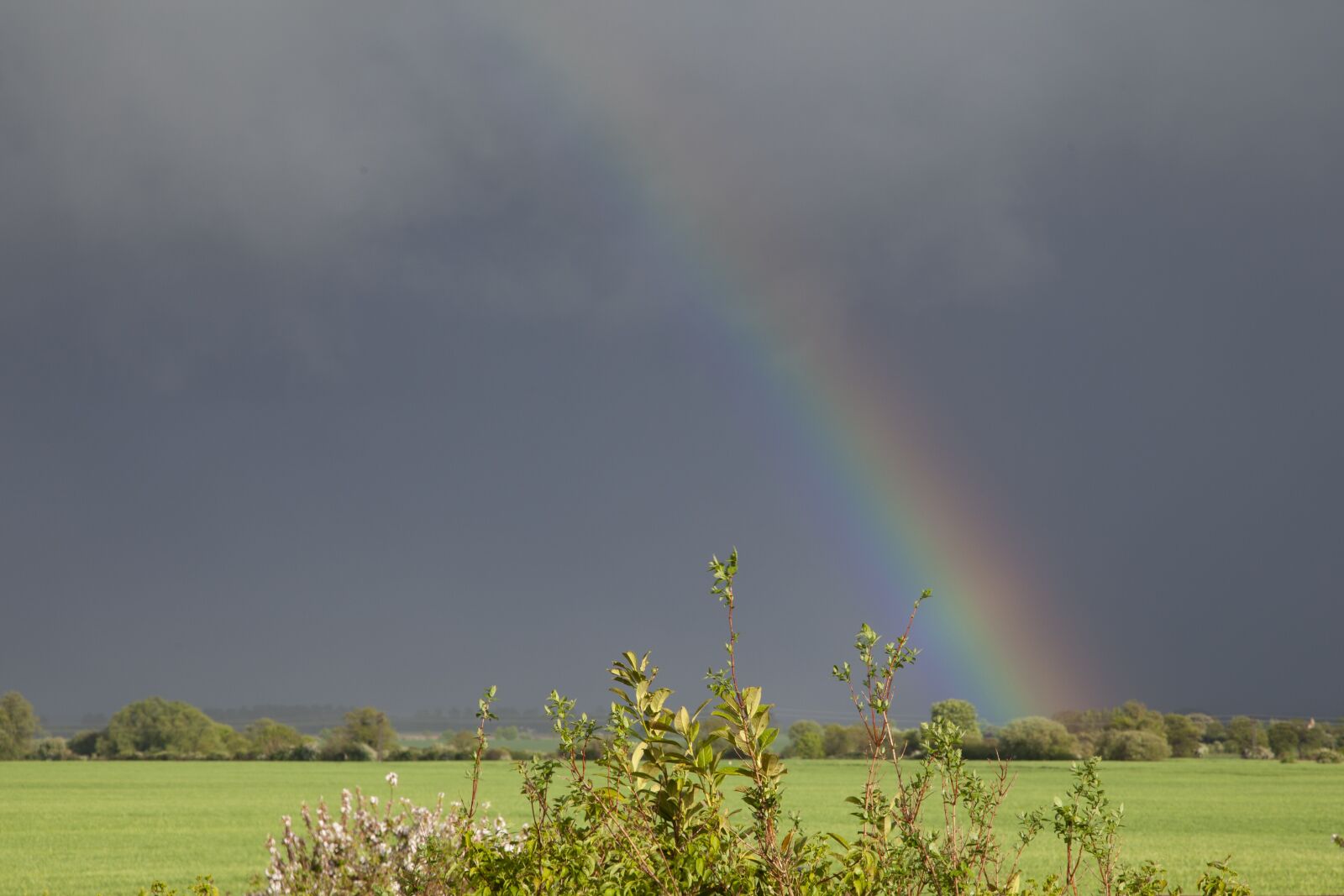 Canon EOS 5D Mark II sample photo. Rainbow, field, landscape photography