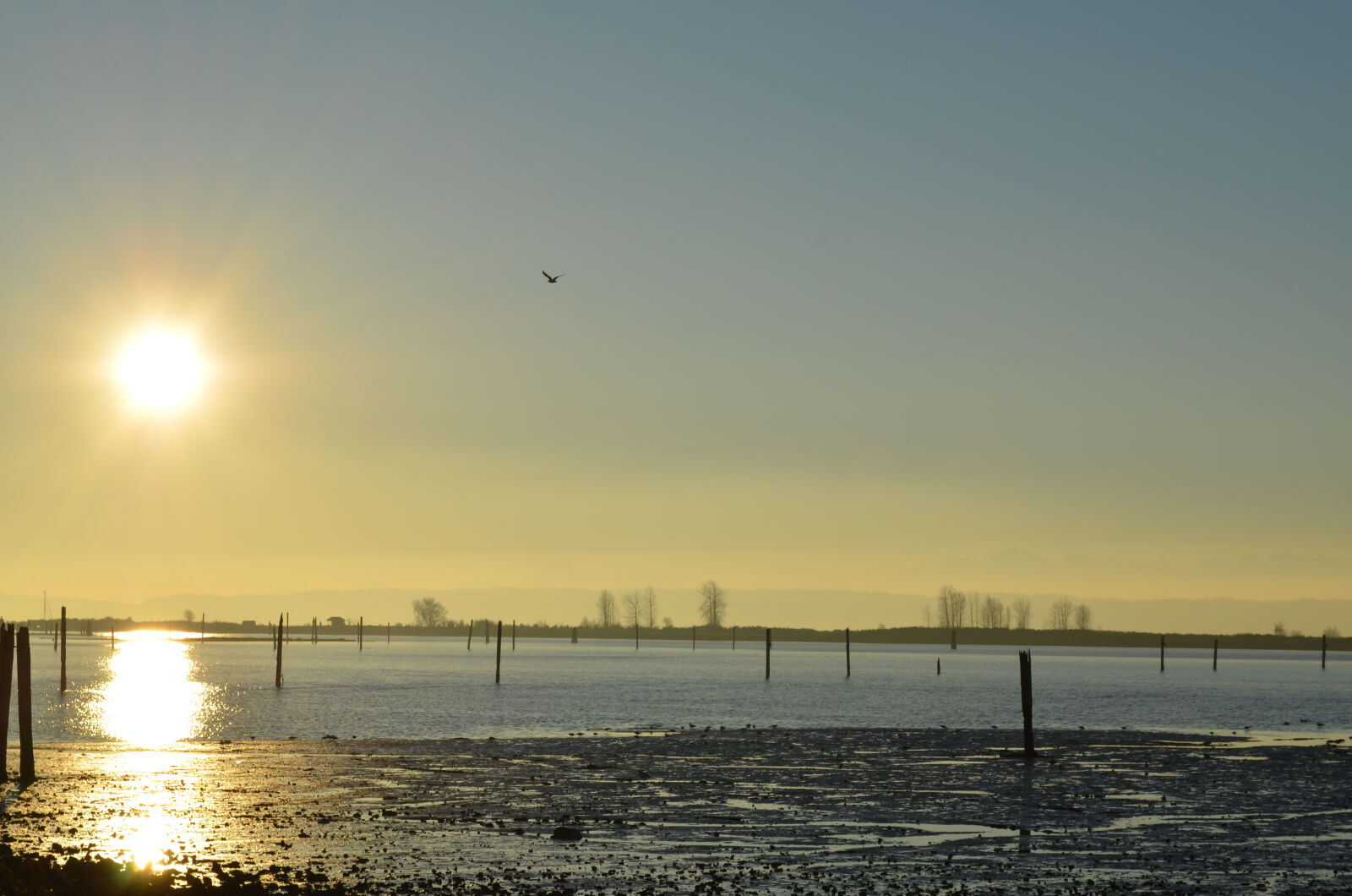Nikon D5100 sample photo. Bay, beach, beach, sunset photography
