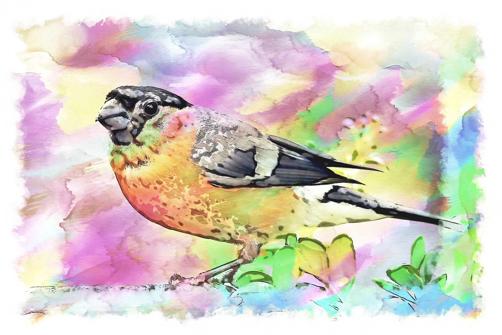 Panasonic Lumix DMC-FZ200 sample photo. Bullfinch, bird, males photography