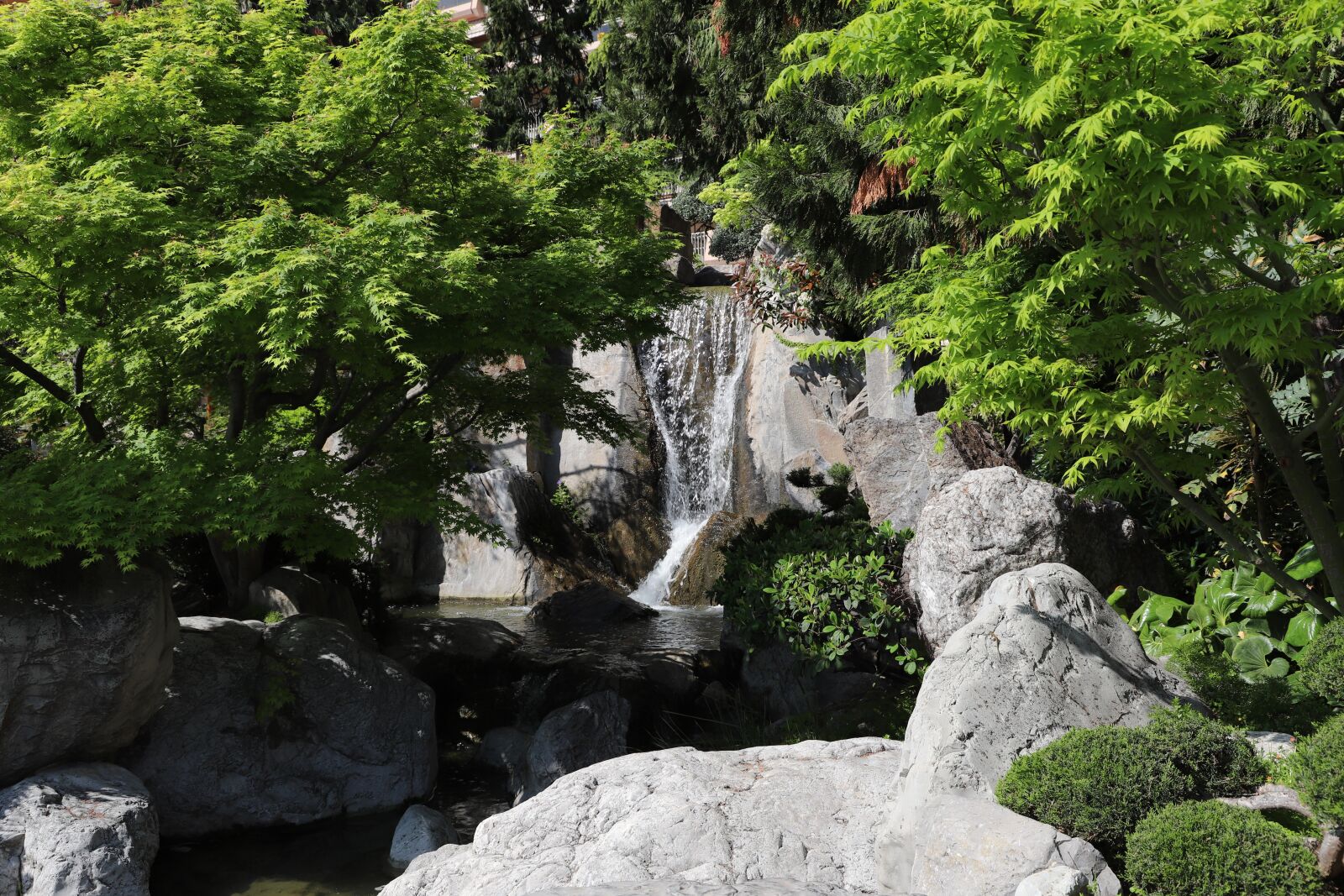 Canon EOS 6D Mark II sample photo. Nature, tree, outdoor photography