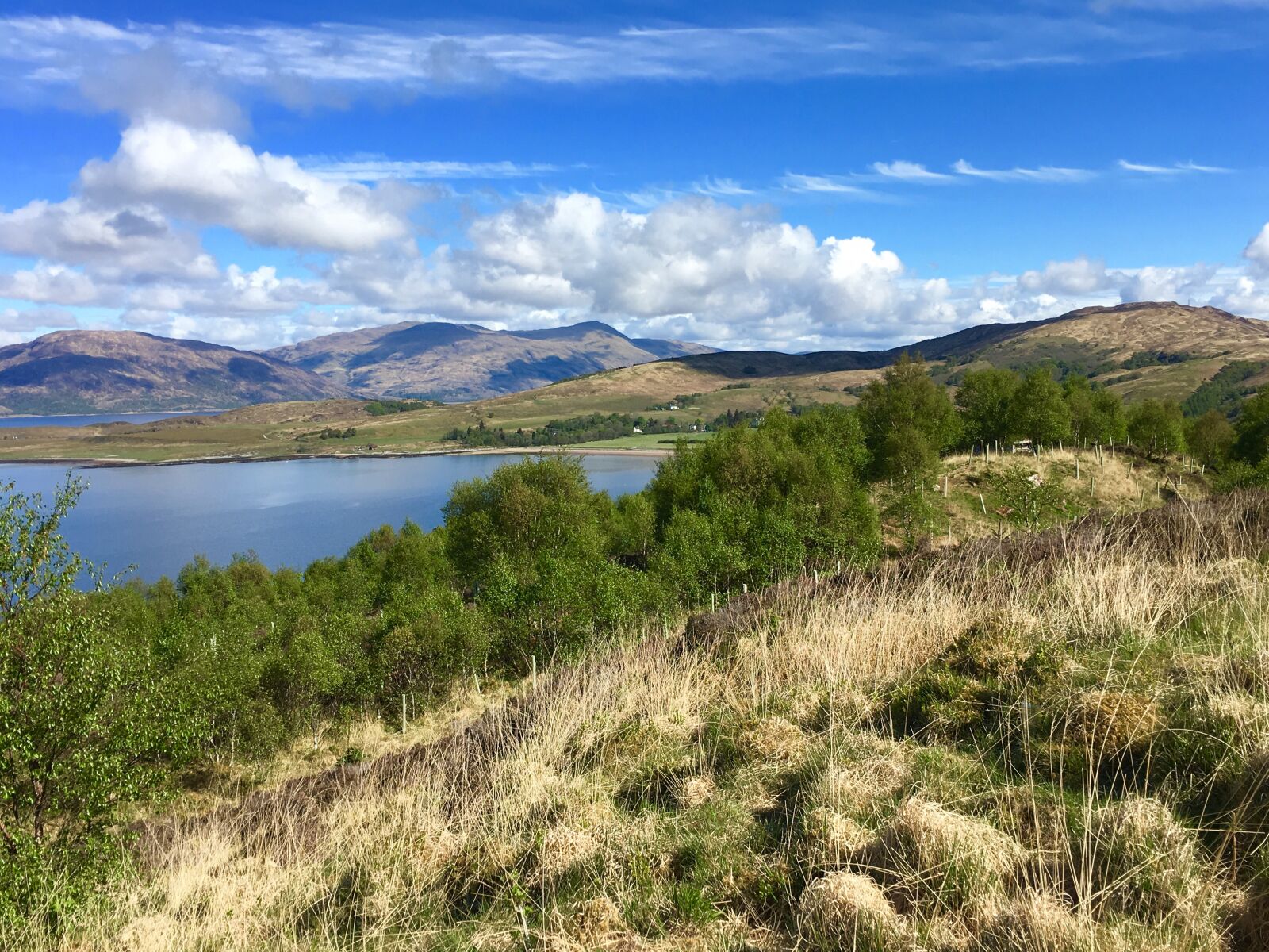 Apple iPhone 6s sample photo. Scotland, nature, highlands and photography