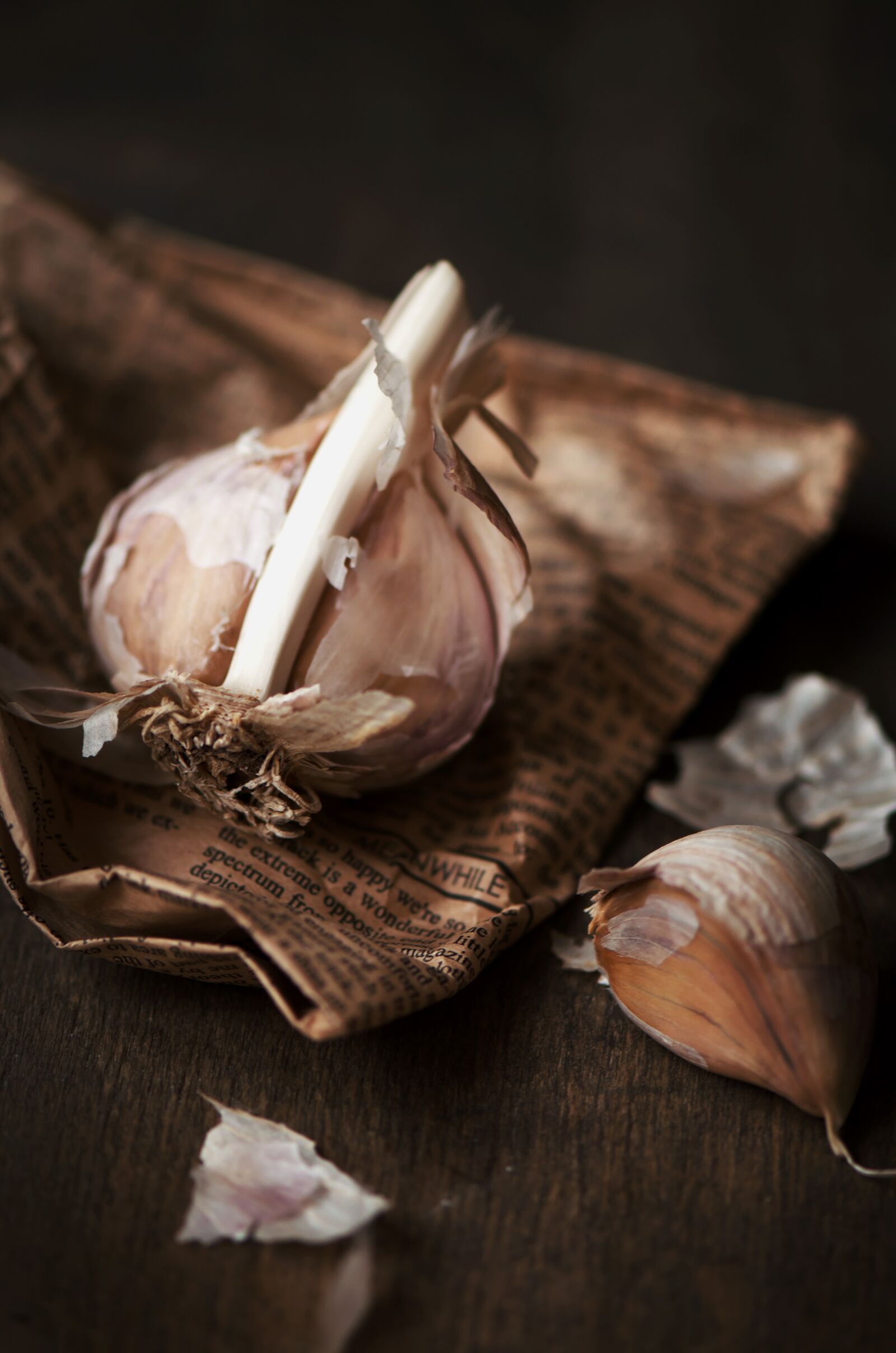 Nikon D5100 sample photo. Still life, garlic, newspaper photography