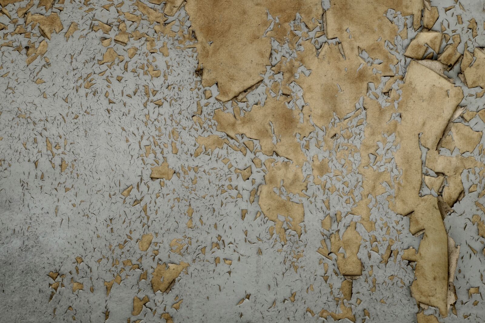 Fujifilm X-M1 sample photo. Texture, wall, broke photography