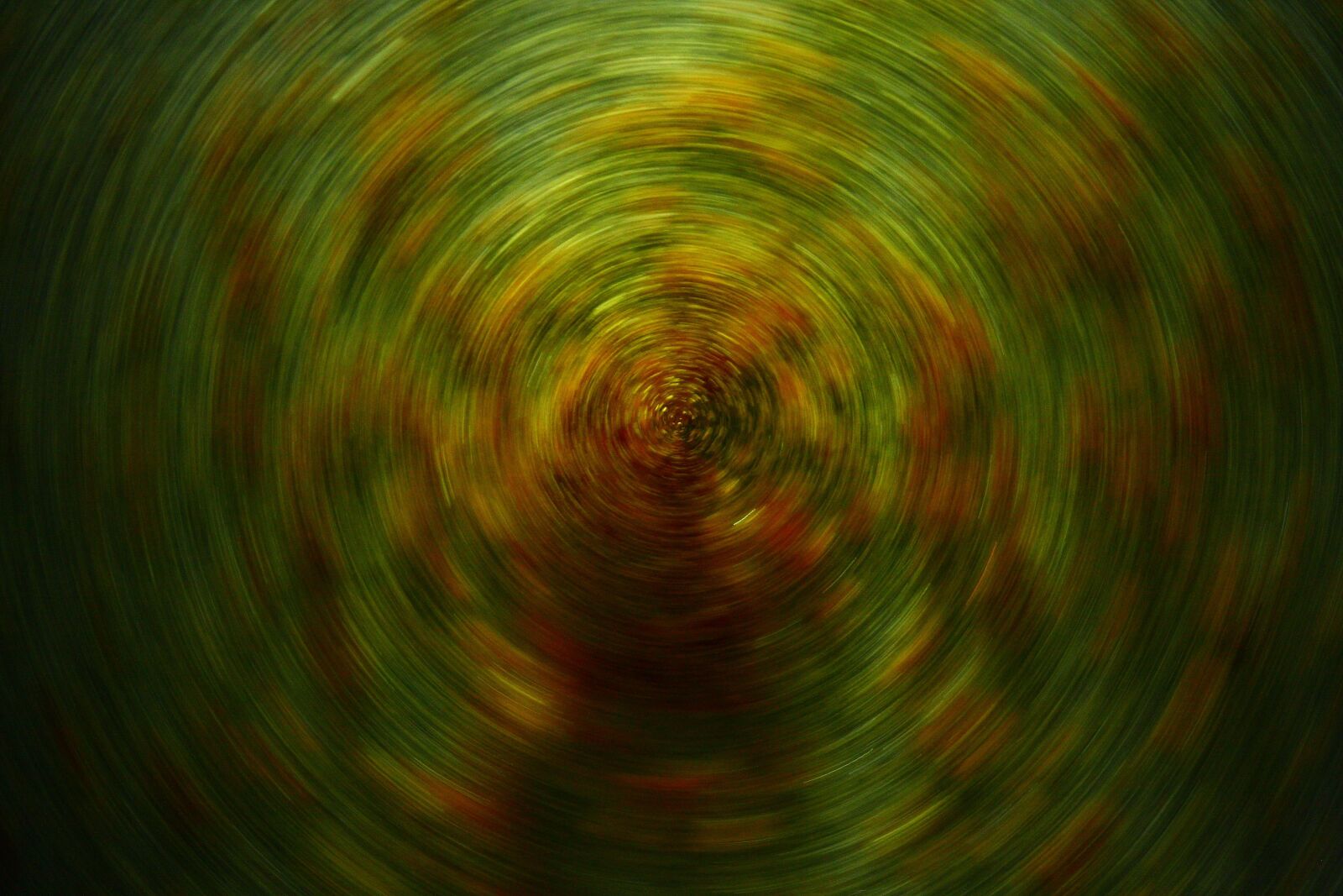 Canon EOS 40D sample photo. Abstract, background, texture photography
