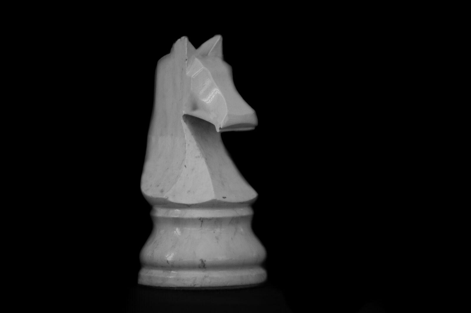 Nikon D40 sample photo. Games, chess, horse photography