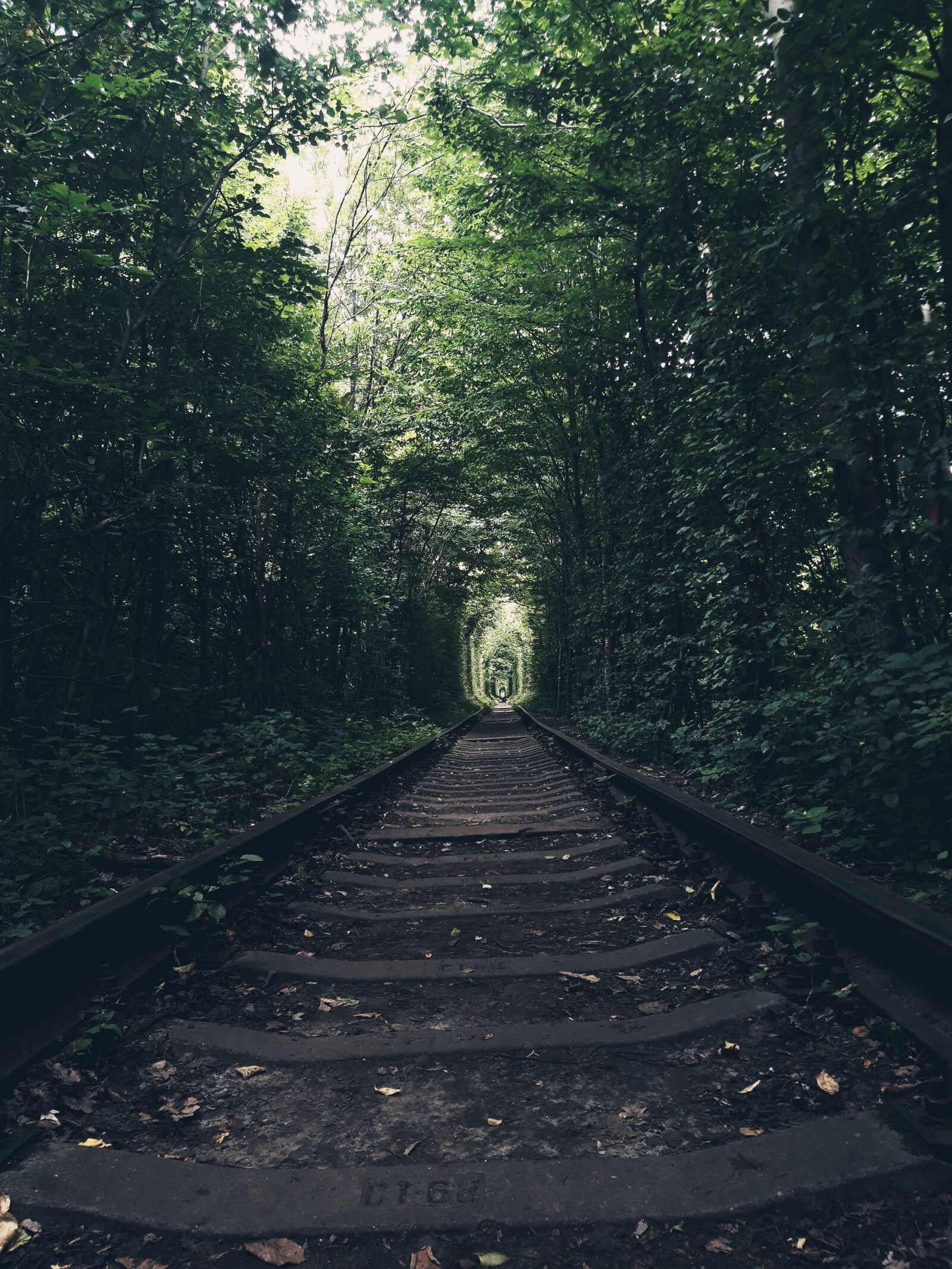 Samsung Galaxy A6 sample photo. Railway, tunnel, trees photography