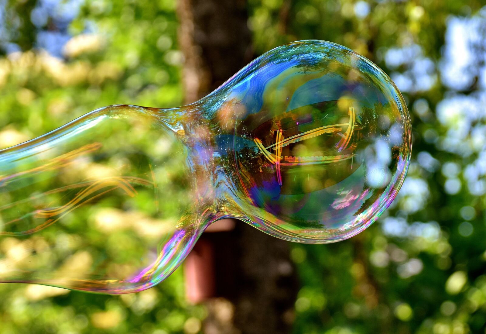 Nikon D7200 sample photo. Soap bubble, huge, large photography
