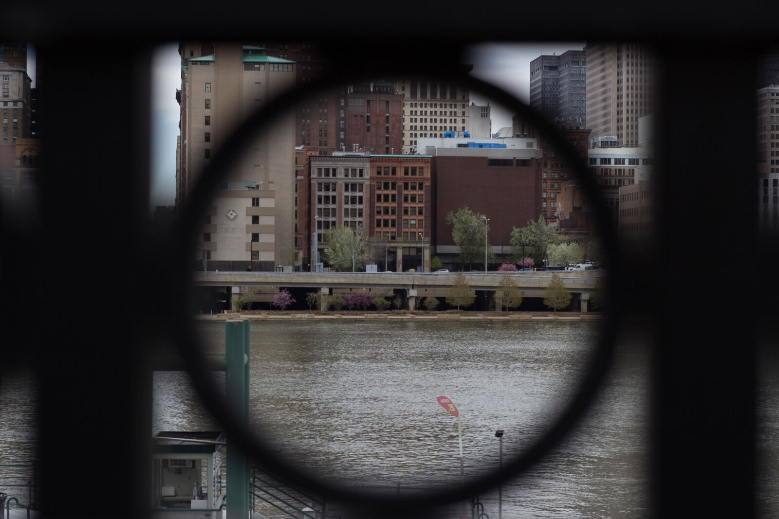 Canon EF 50mm F1.8 II sample photo. Nicolas, desarno, pittsburgh photography