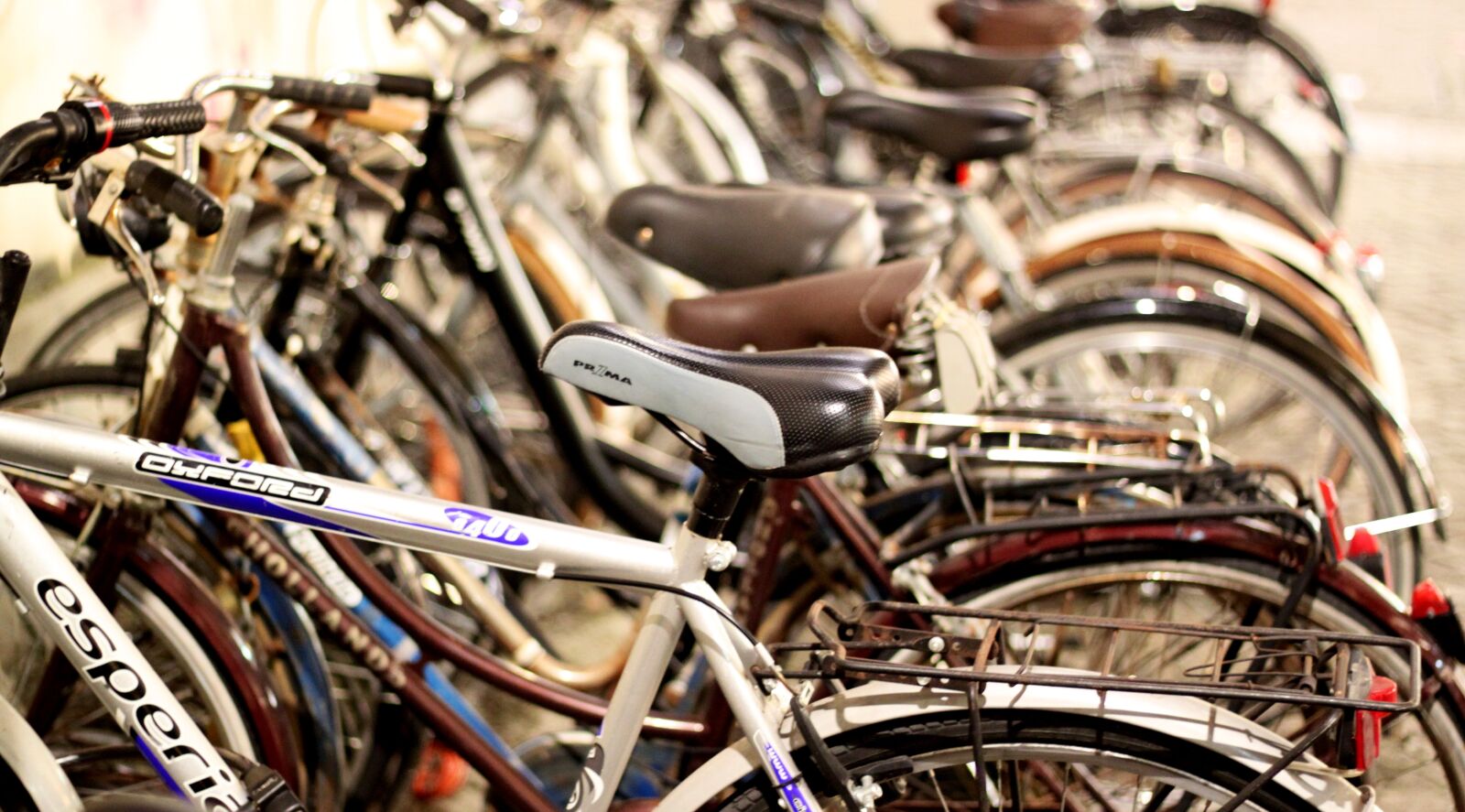Canon EOS 500D (EOS Rebel T1i / EOS Kiss X3) sample photo. Bicycles, bike, nature photography