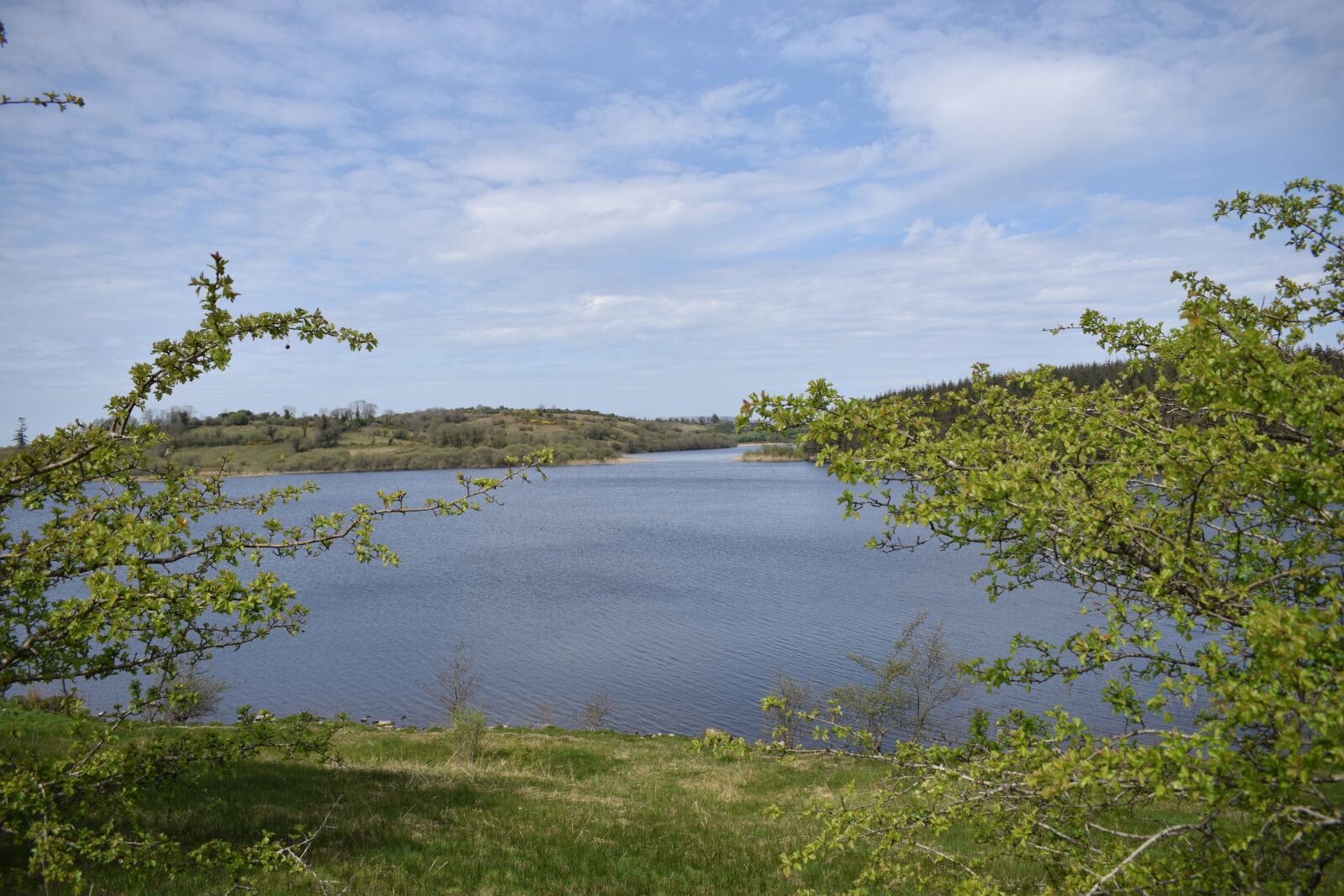 Nikon D3300 sample photo. Lake, sky, green photography
