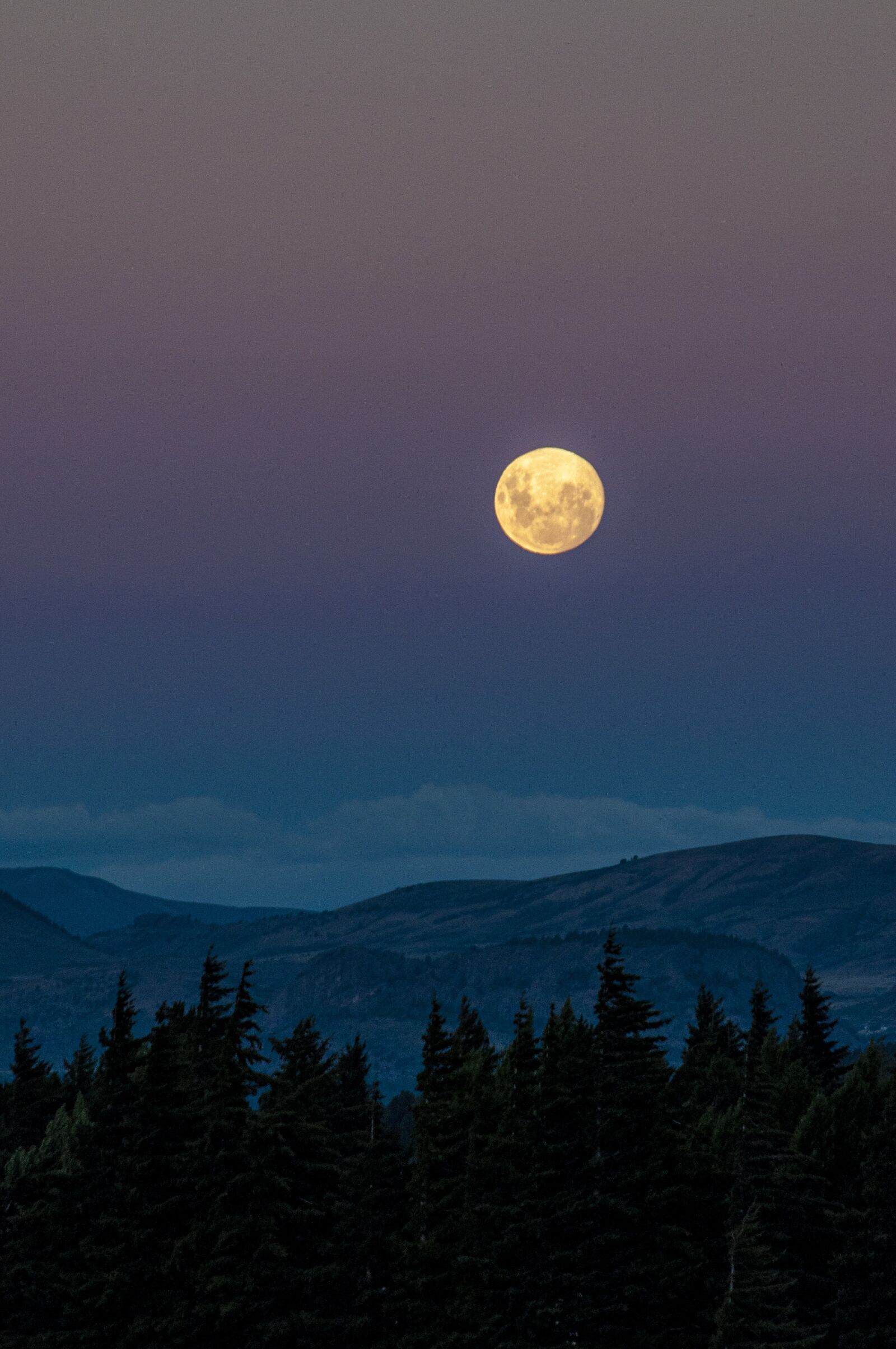 Nikon D5000 sample photo. Moon, landscape, night photography
