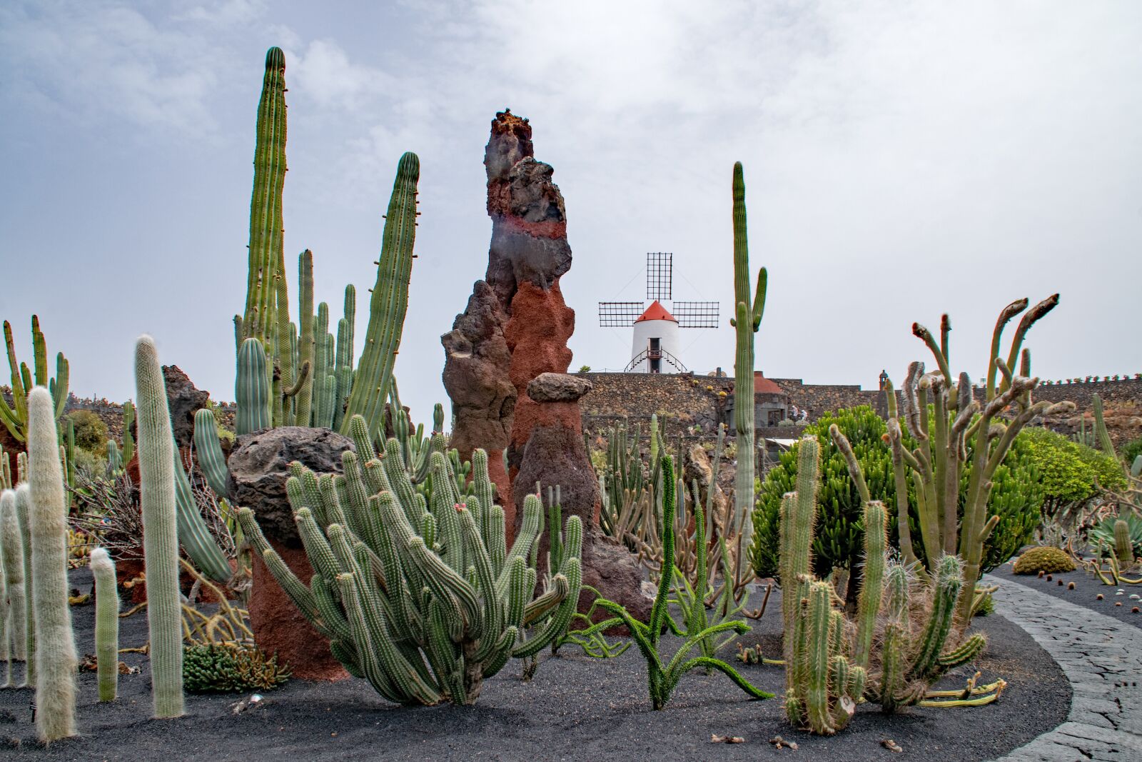 Nikon D5300 sample photo. Jardin de cactus, cactus photography
