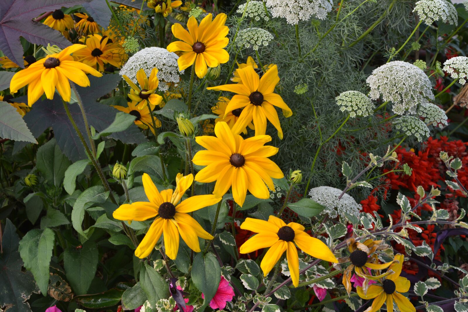 Nikon D5200 sample photo. Flowers, flowers orange-yellow, massif photography