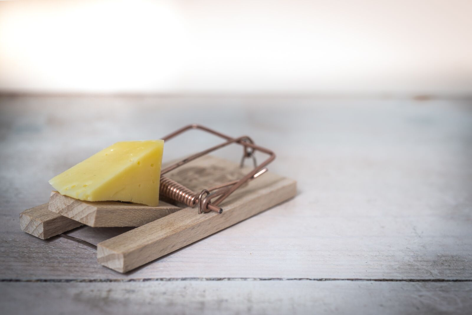 Nikon D610 sample photo. Mouse trap, cheese, device photography