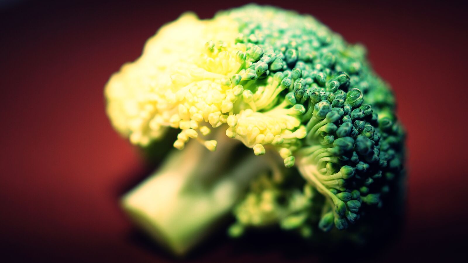 Sony DT 30mm F2.8 Macro SAM sample photo. Broccoli, raw, fresh photography