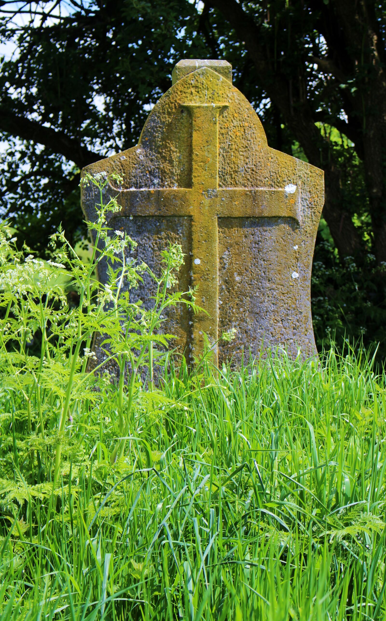 Canon EOS 100D (EOS Rebel SL1 / EOS Kiss X7) sample photo. Tombstone, green, grass photography