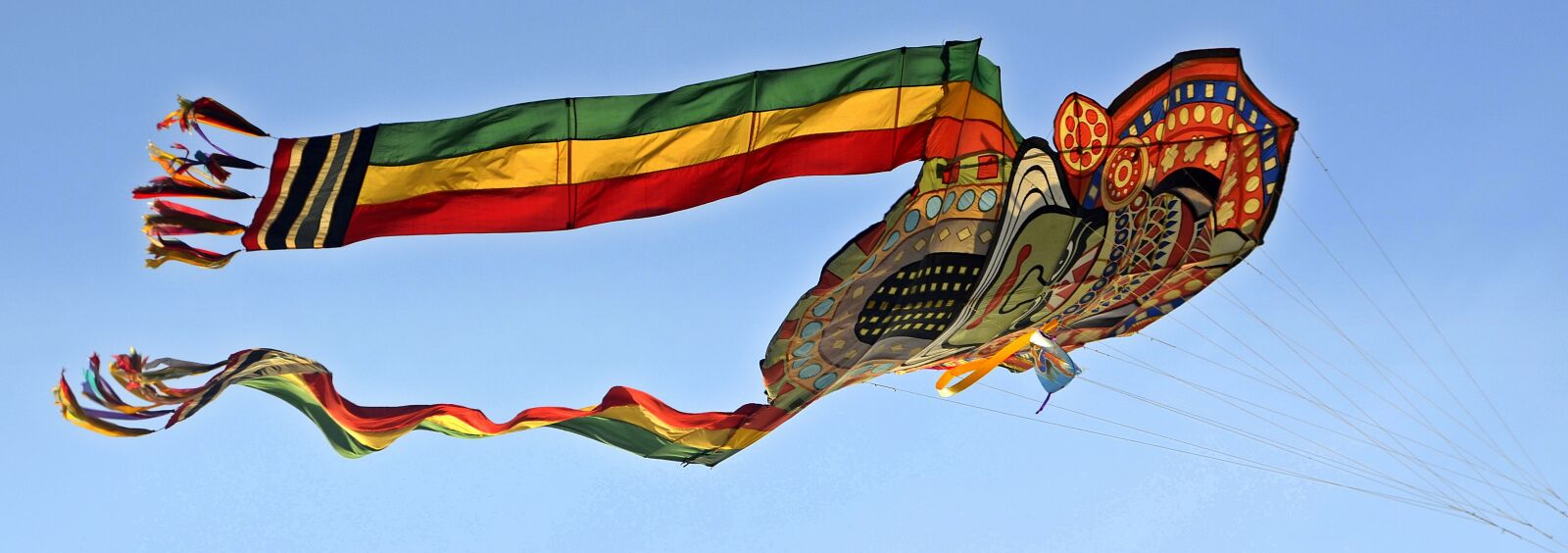 Nikon D5100 sample photo. Kite, flying, activity photography